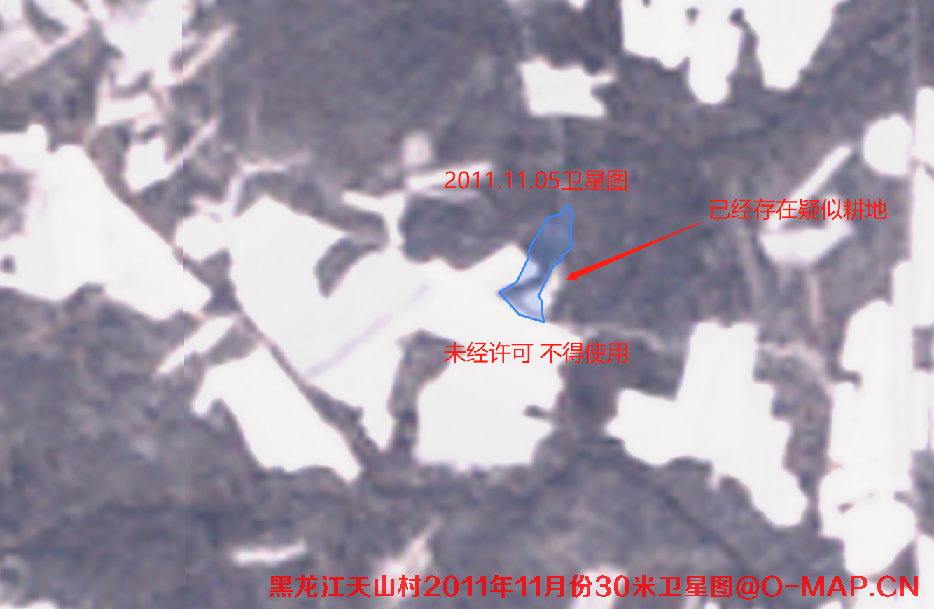黑龙江逊克县天山村2012年土地纠纷卫星图