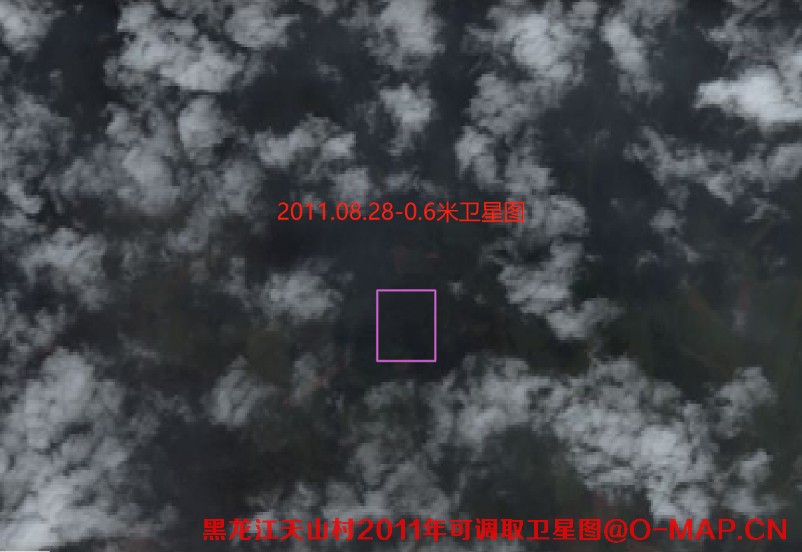 黑龙江逊克县天山村2012年土地纠纷卫星图