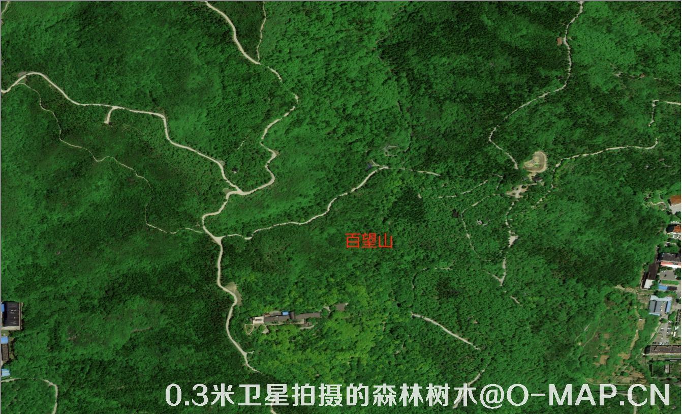 0.3米卫星拍摄的森林树木卫星图片