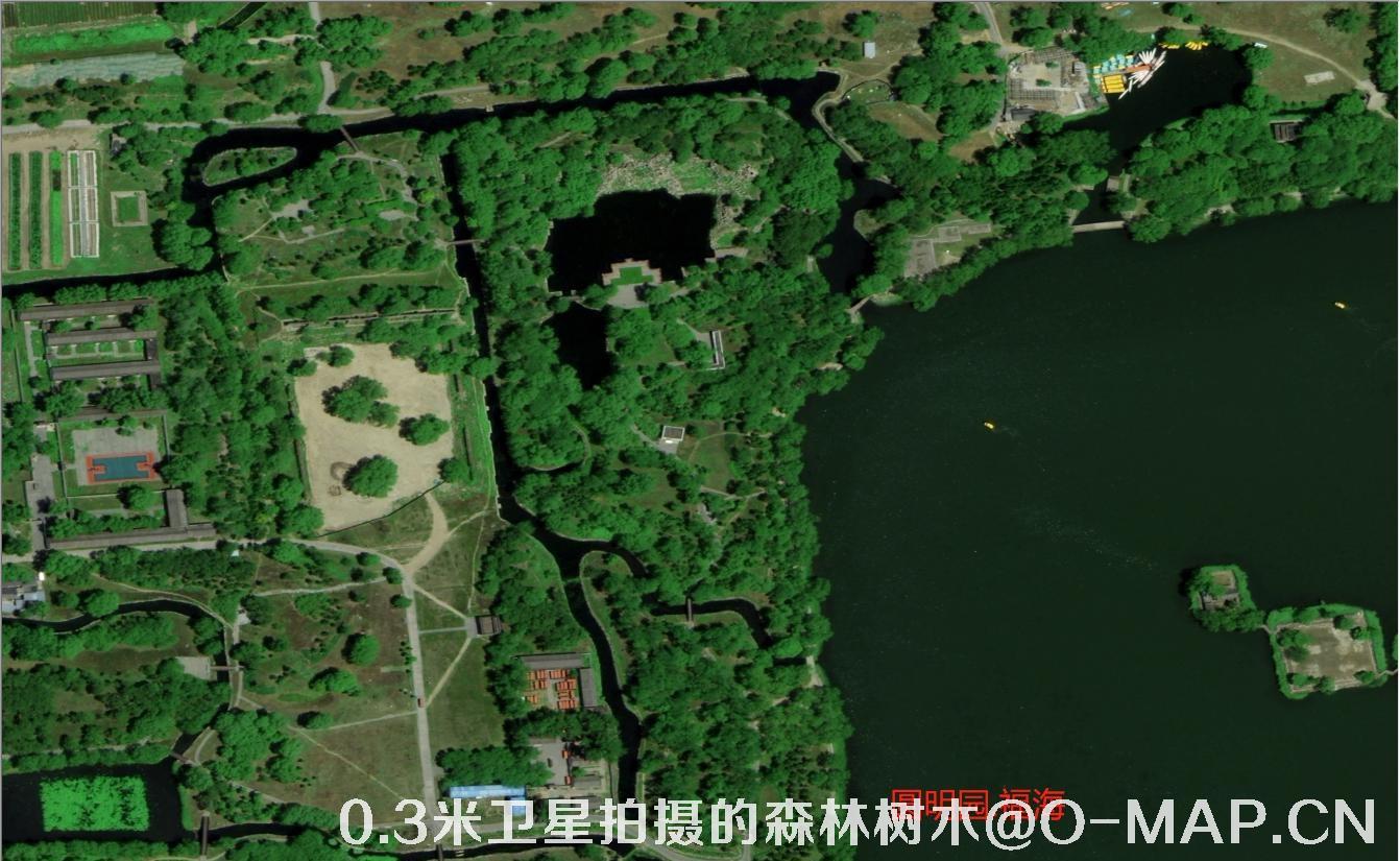 0.3米卫星拍摄的森林树木卫星图片