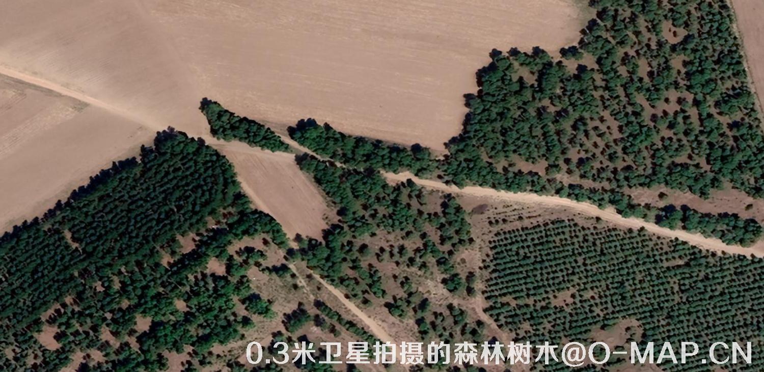 0.3米卫星拍摄的森林树木卫星图片