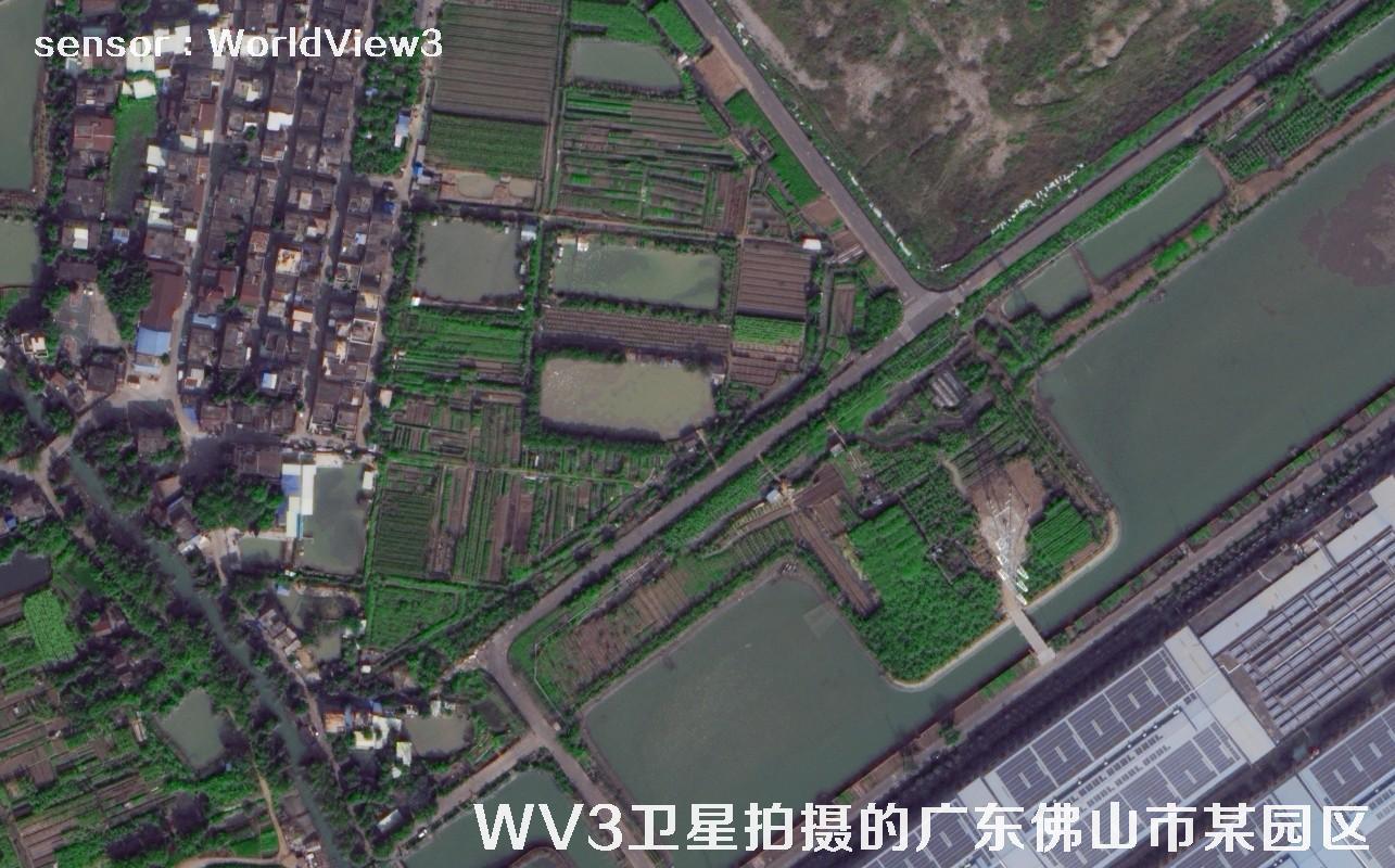 0.3米分辨率WorldView3卫星拍摄的广东省佛山市某工业园区卫星图