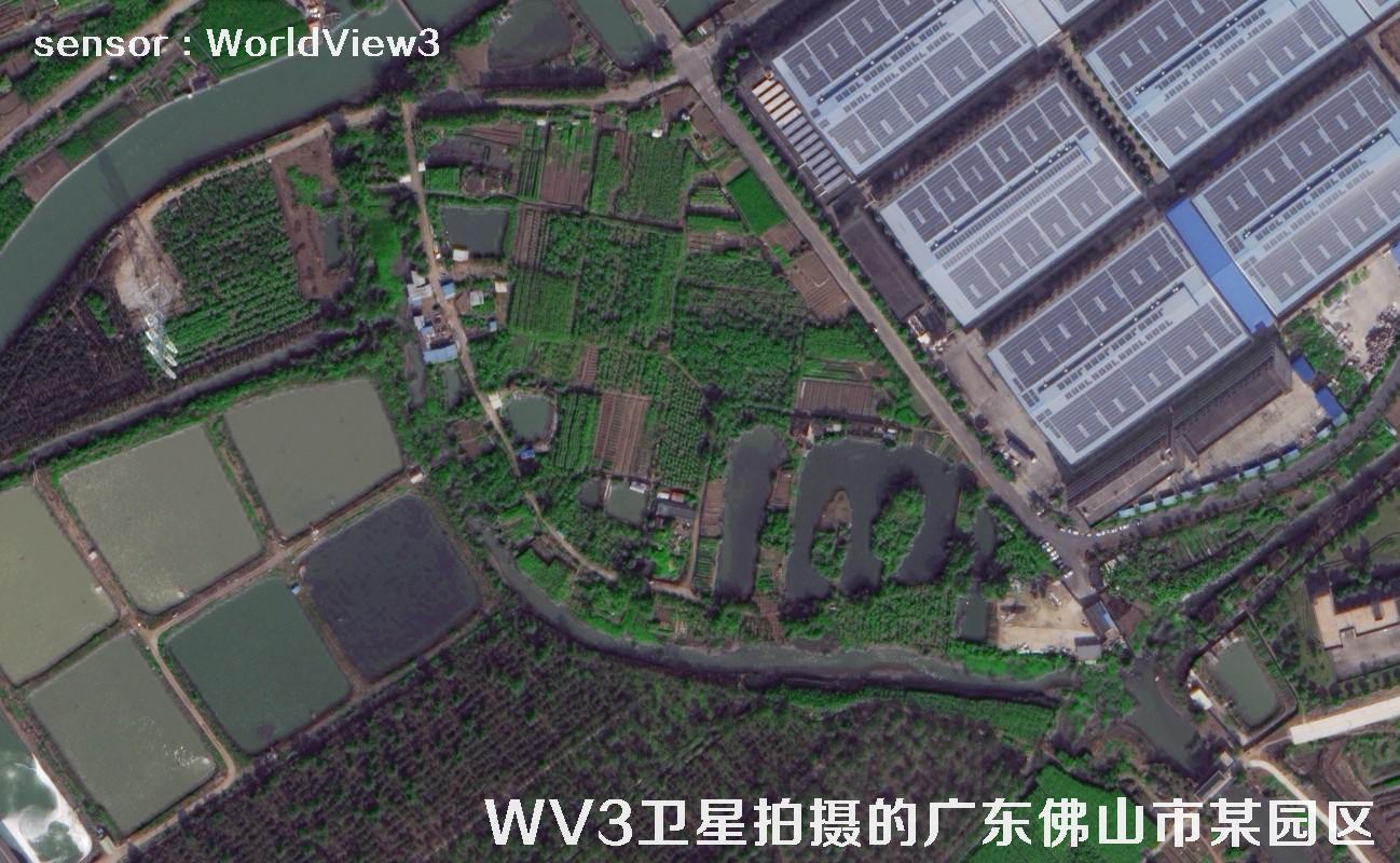 0.3米分辨率WorldView3卫星拍摄的广东省佛山市某工业园区卫星图