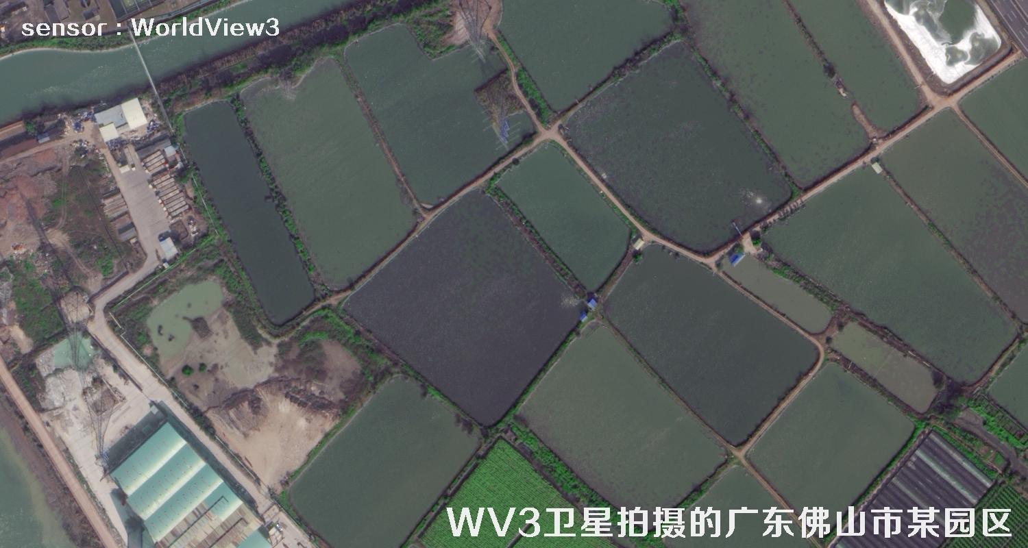 0.3米分辨率WorldView3卫星拍摄的广东省佛山市某工业园区卫星图