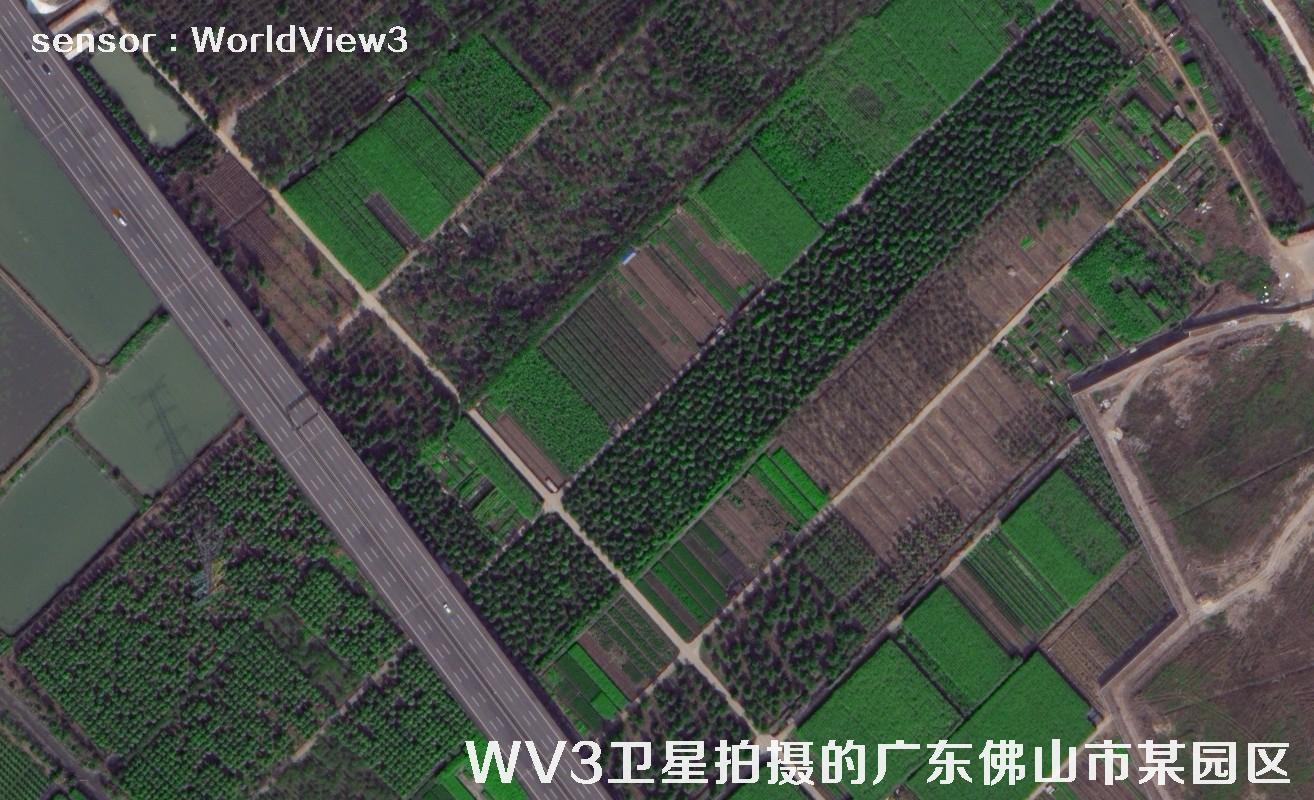 0.3米分辨率WorldView3卫星拍摄的广东省佛山市某工业园区卫星图