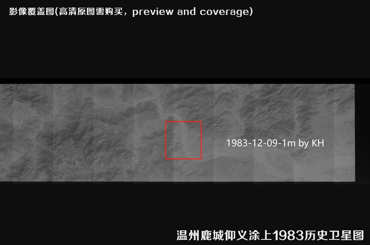 浙江省温州市【2003年美国QuickBird快鸟卫星-1983年KeyHole锁眼卫星】历史影像地图材料