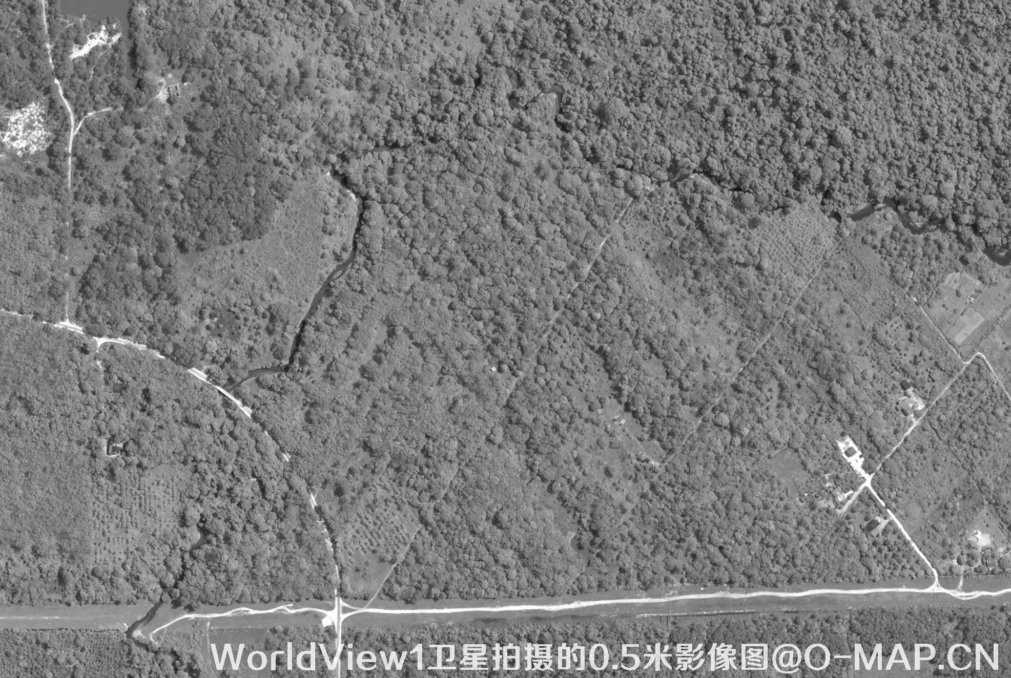 WorldView1卫星拍摄的0.5米影像图