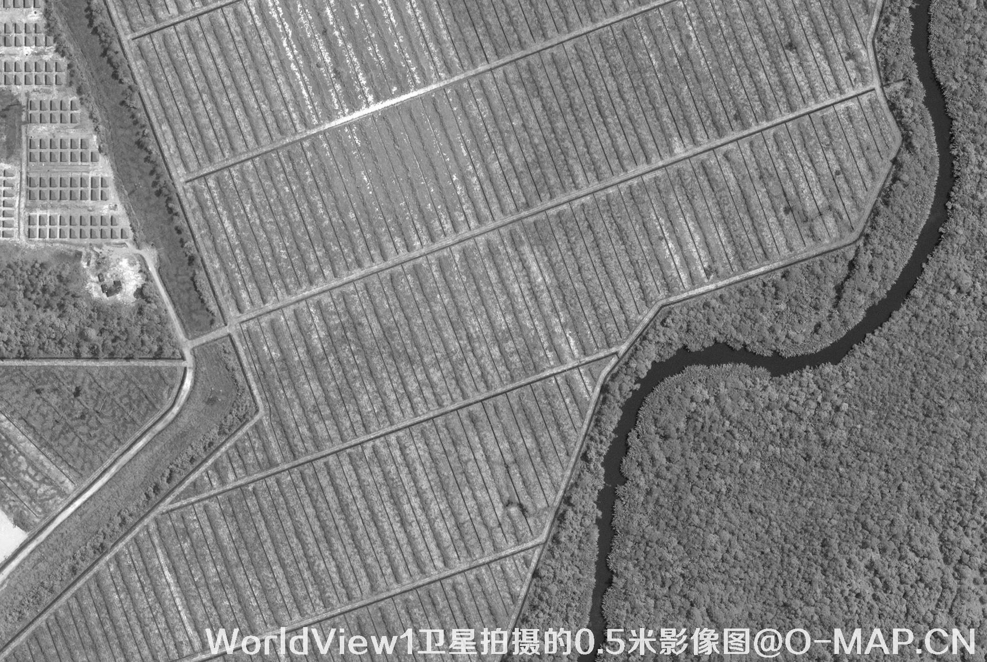 WorldView1卫星拍摄的0.5米影像图