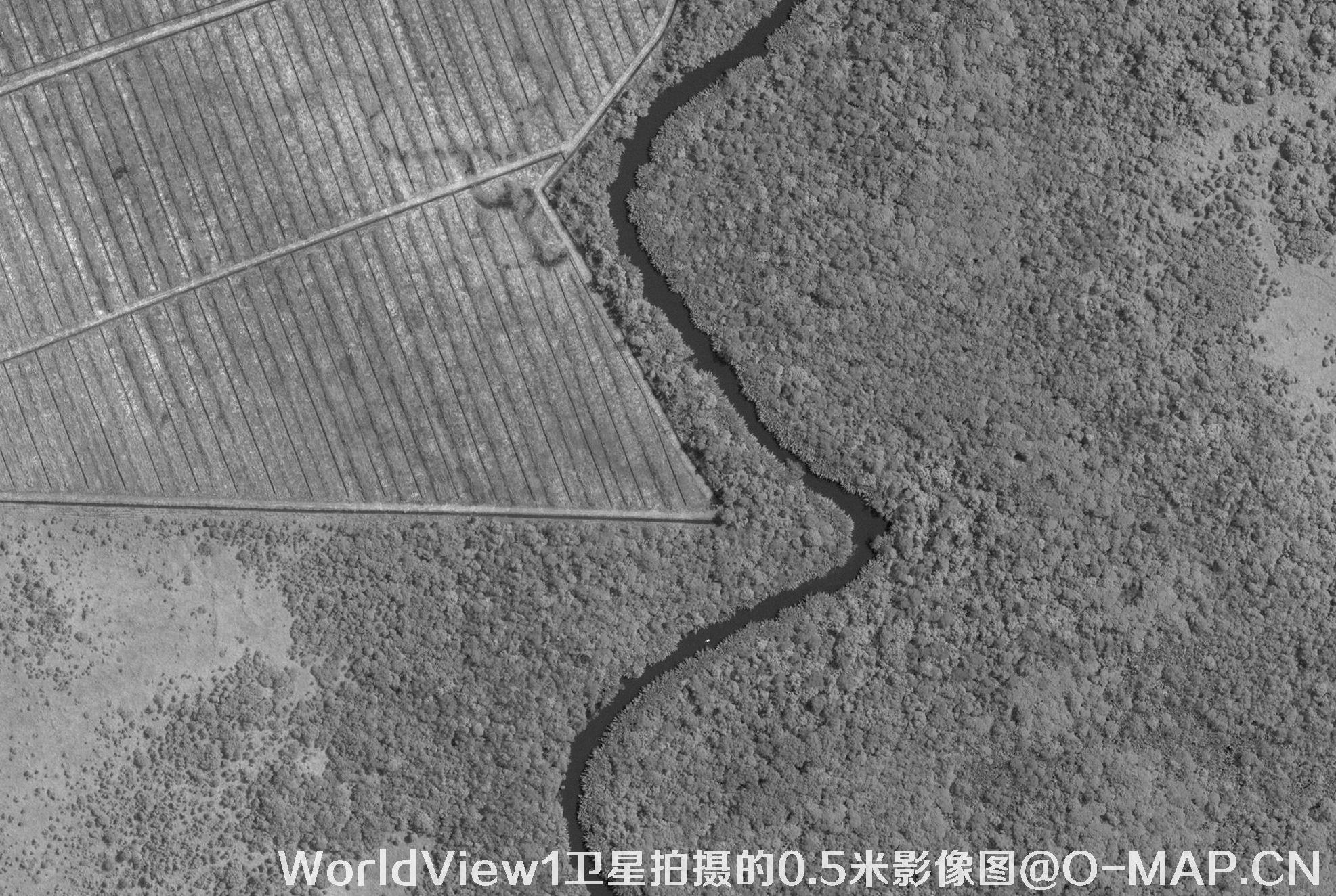 WorldView1卫星拍摄的0.5米影像图