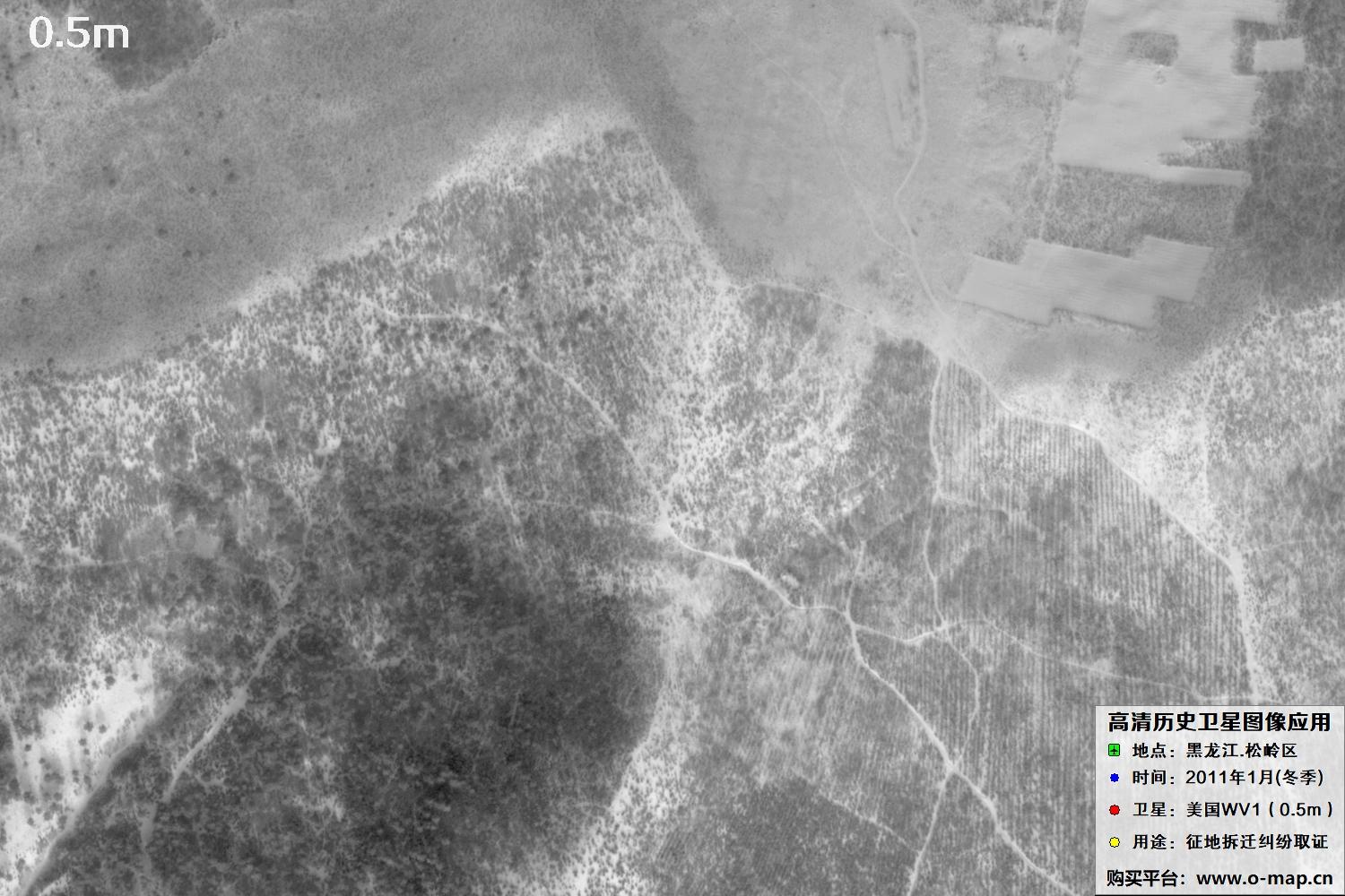 WorldView1卫星2011年拍摄的哈尔滨冬季影像图