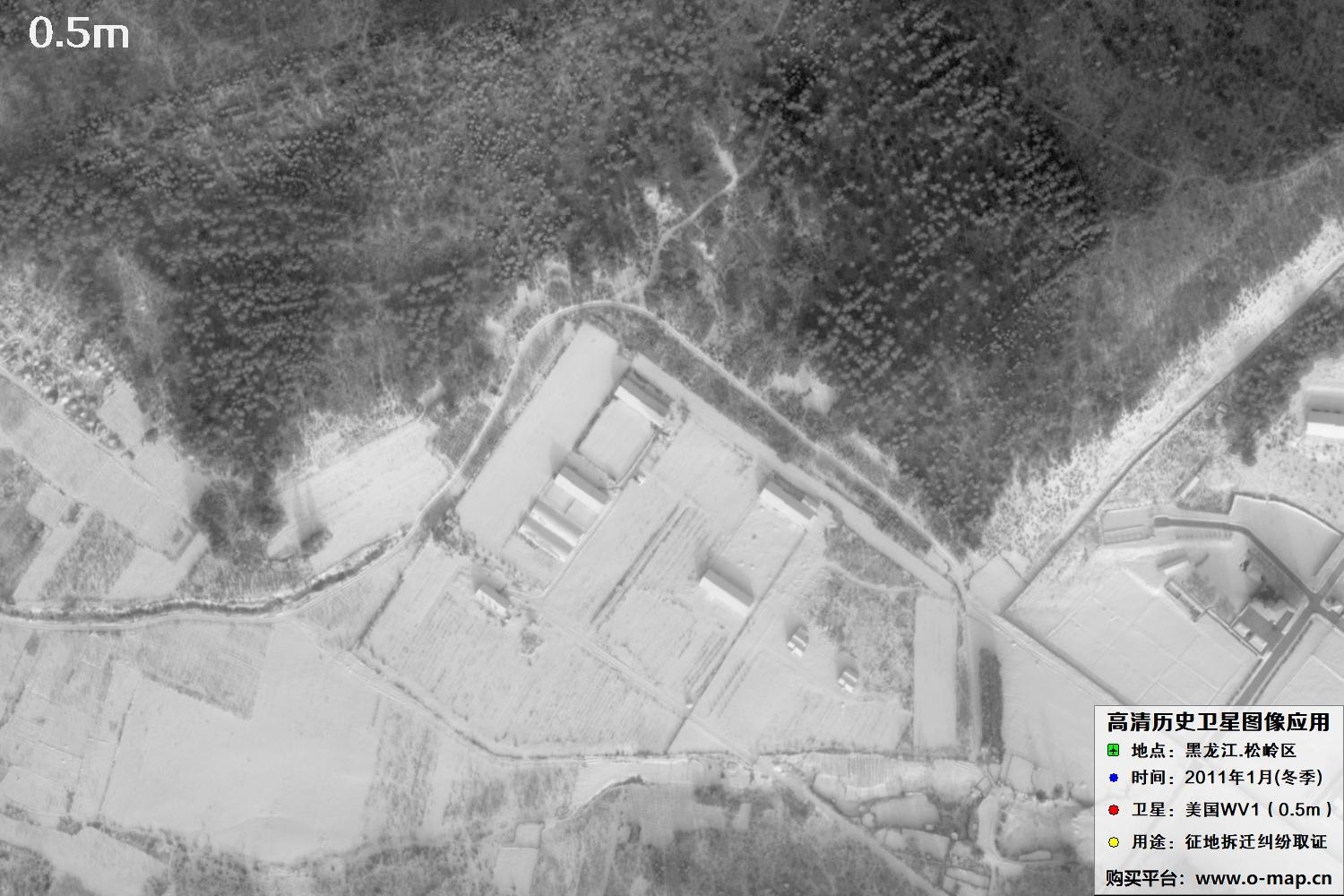 WorldView1卫星2011年拍摄的哈尔滨冬季影像图