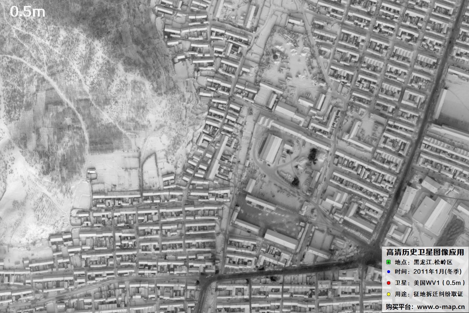 WorldView1卫星2011年拍摄的哈尔滨冬季影像图