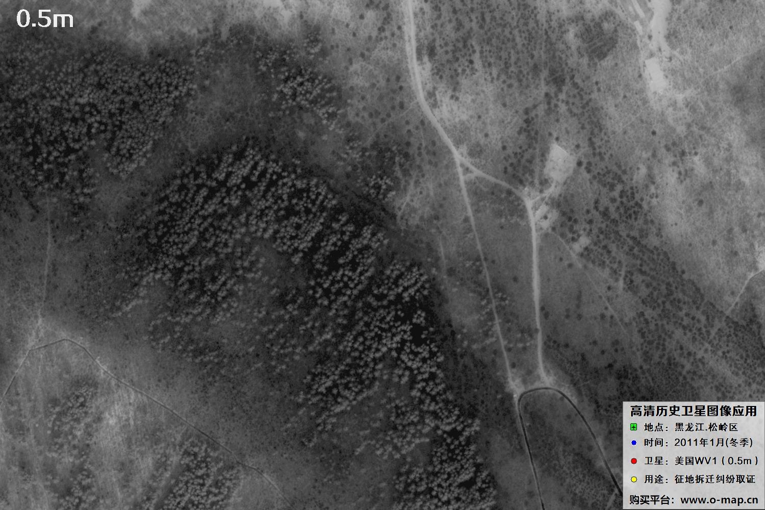 WorldView1卫星2011年拍摄的哈尔滨冬季影像图