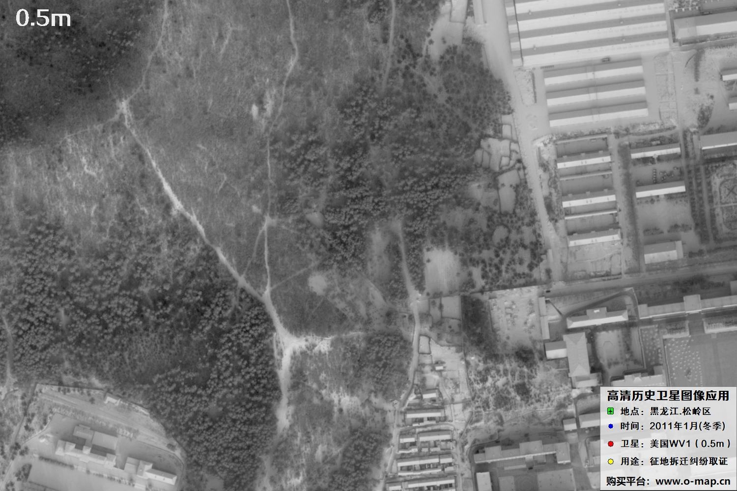 WorldView1卫星2011年拍摄的哈尔滨冬季影像图
