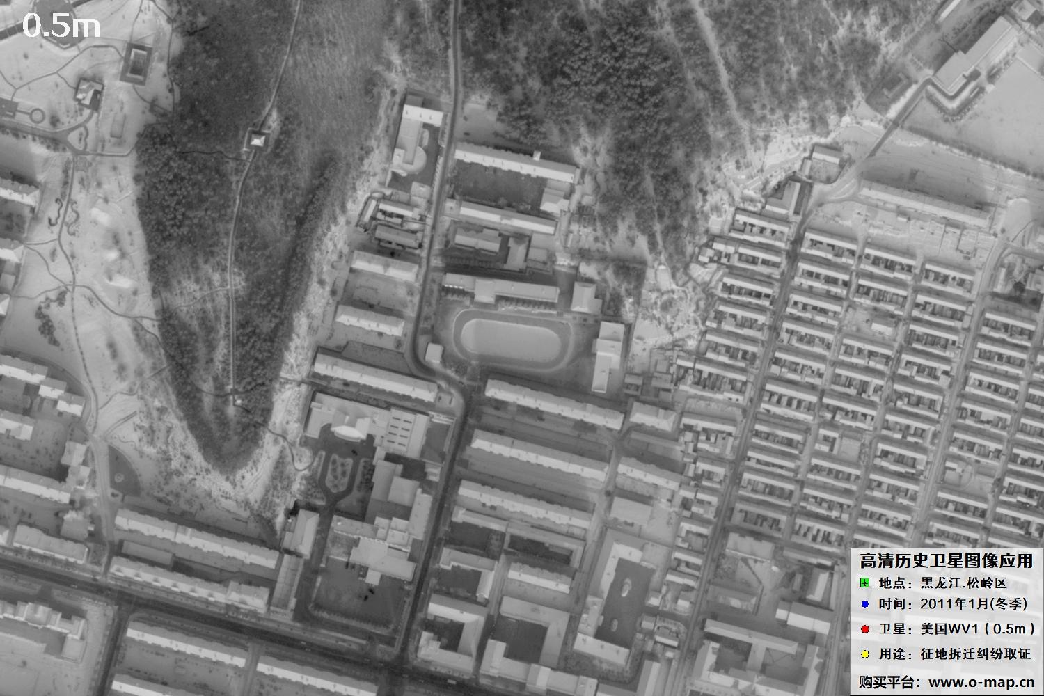 WorldView1卫星2011年拍摄的哈尔滨冬季影像图