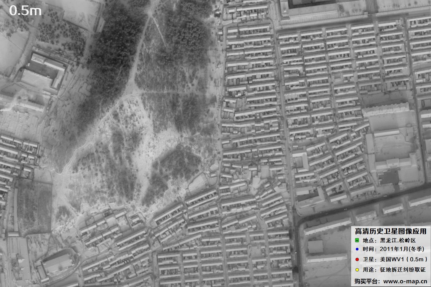 WorldView1卫星2011年拍摄的哈尔滨冬季影像图
