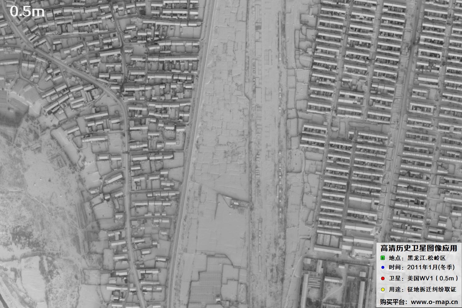 WorldView1卫星2011年拍摄的哈尔滨冬季影像图