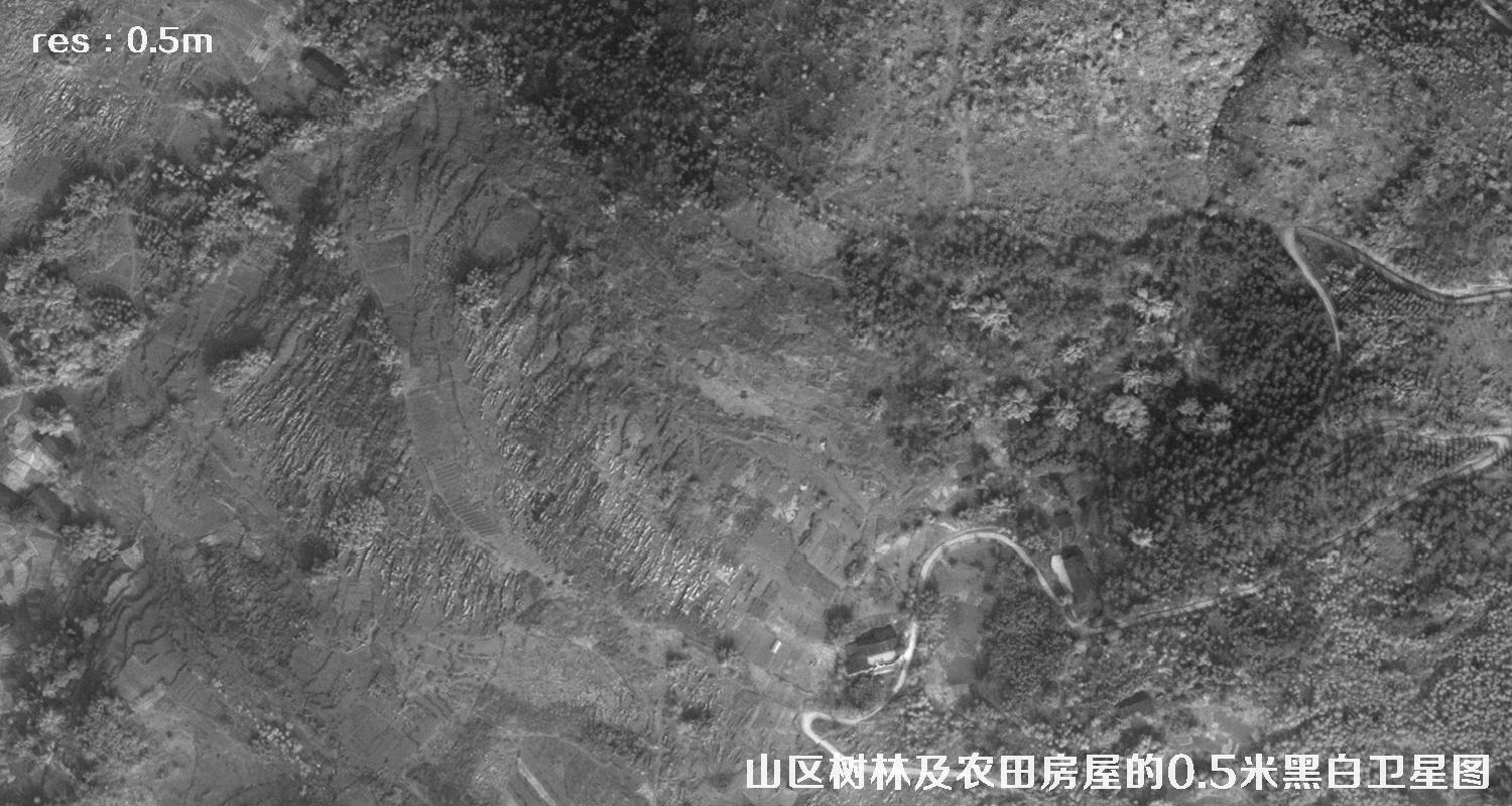 美国WorldView1卫星拍摄的山区森林和农田房屋卫星图