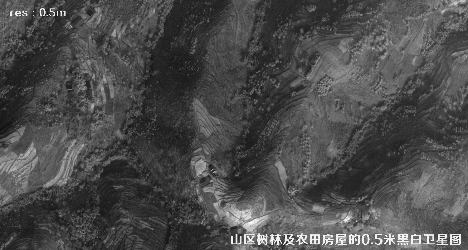 美国WorldView1卫星拍摄的山区森林和农田房屋卫星图