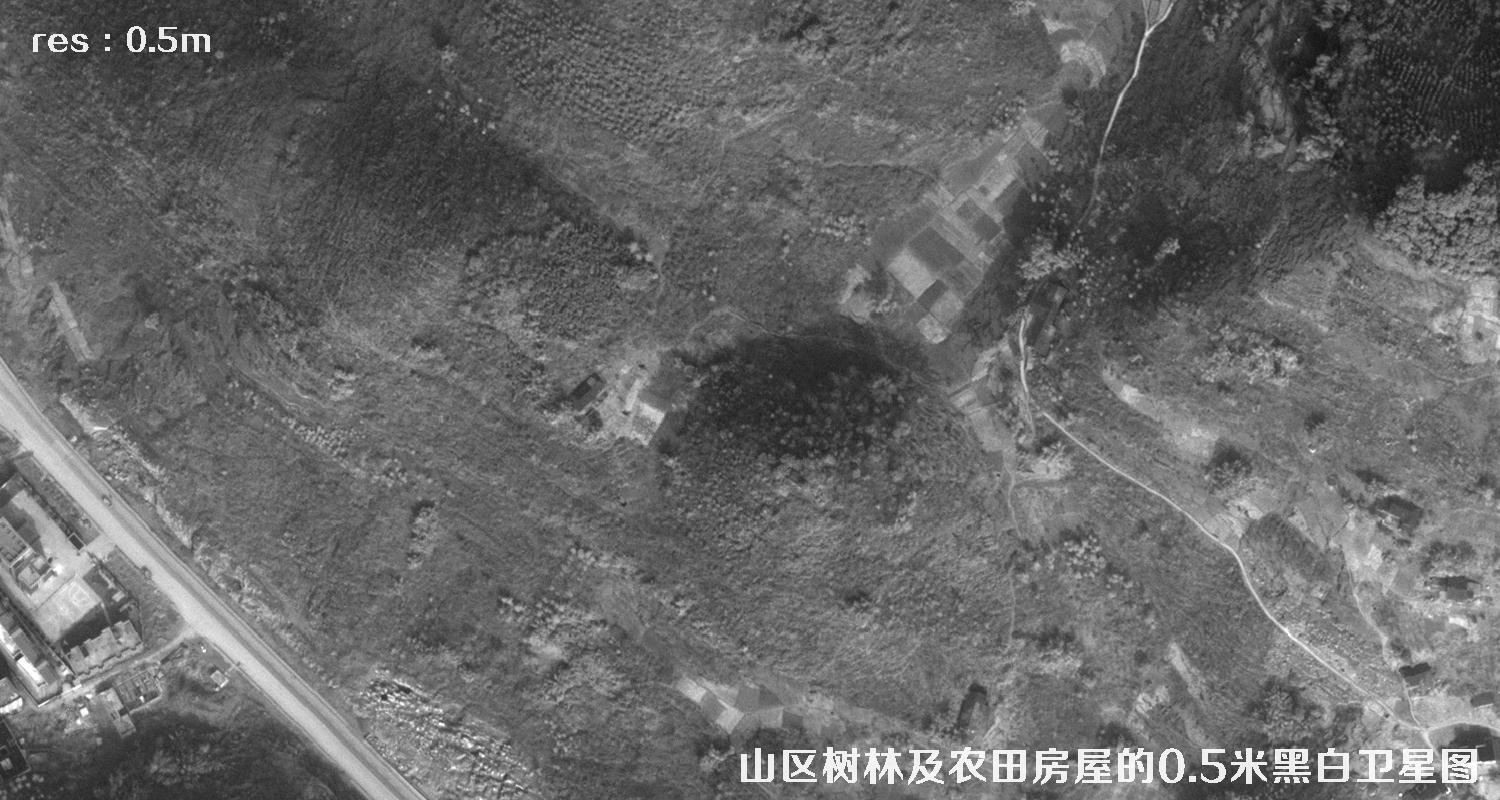 美国WorldView1卫星拍摄的山区森林和农田房屋卫星图