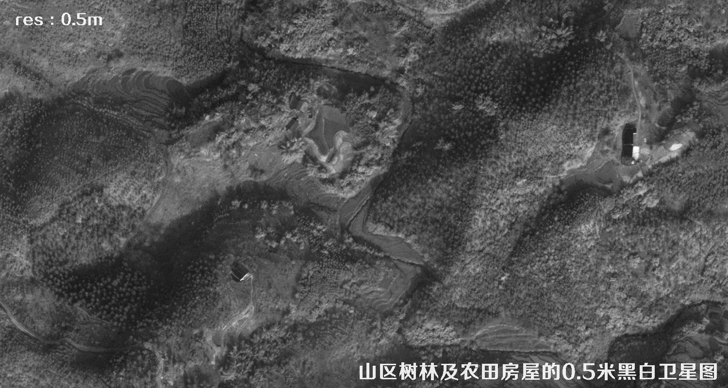 美国WorldView1卫星拍摄的山区森林和农田房屋卫星图