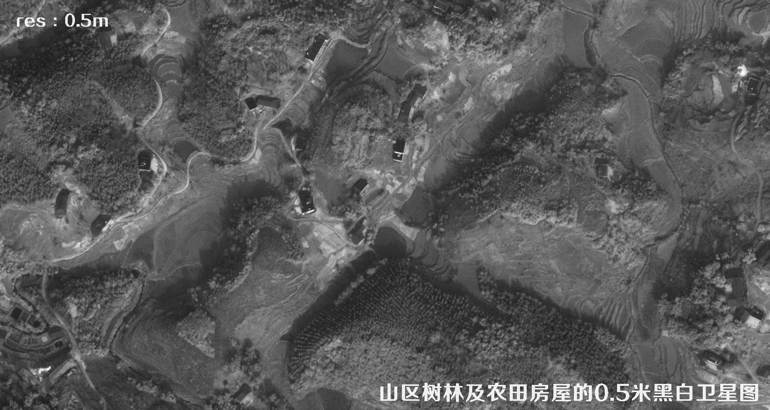 美国WorldView1卫星拍摄的山区森林和农田房屋卫星图