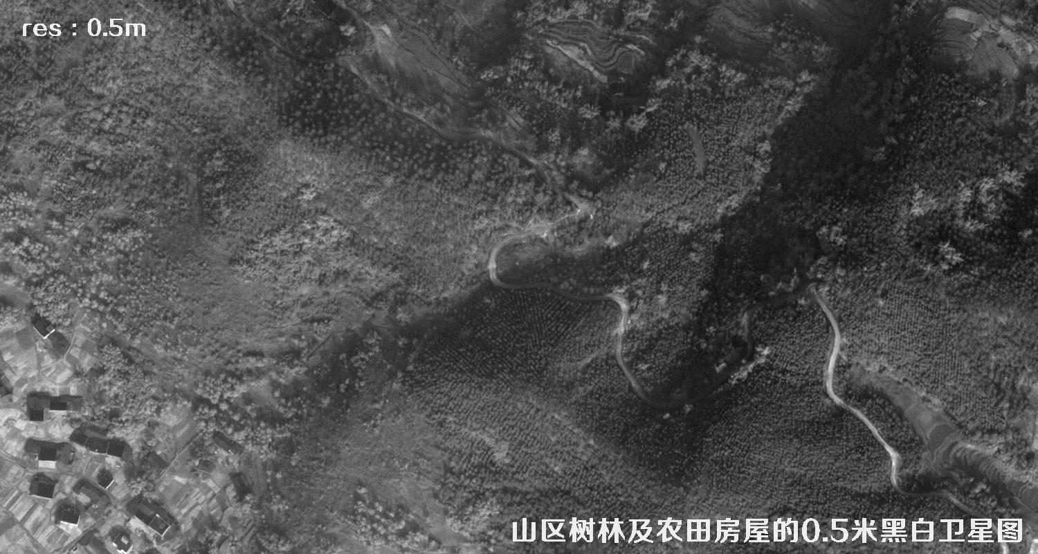 美国WorldView1卫星拍摄的山区森林和农田房屋卫星图