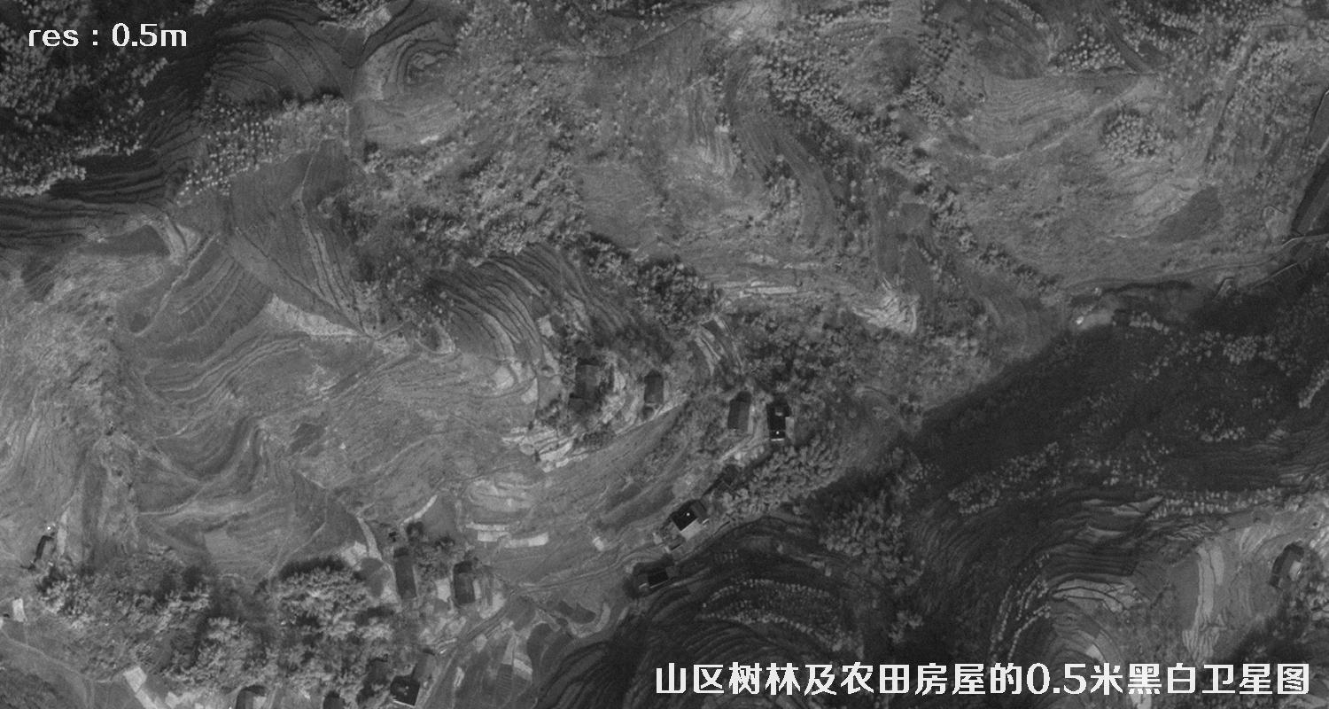 美国WorldView1卫星拍摄的山区森林和农田房屋卫星图