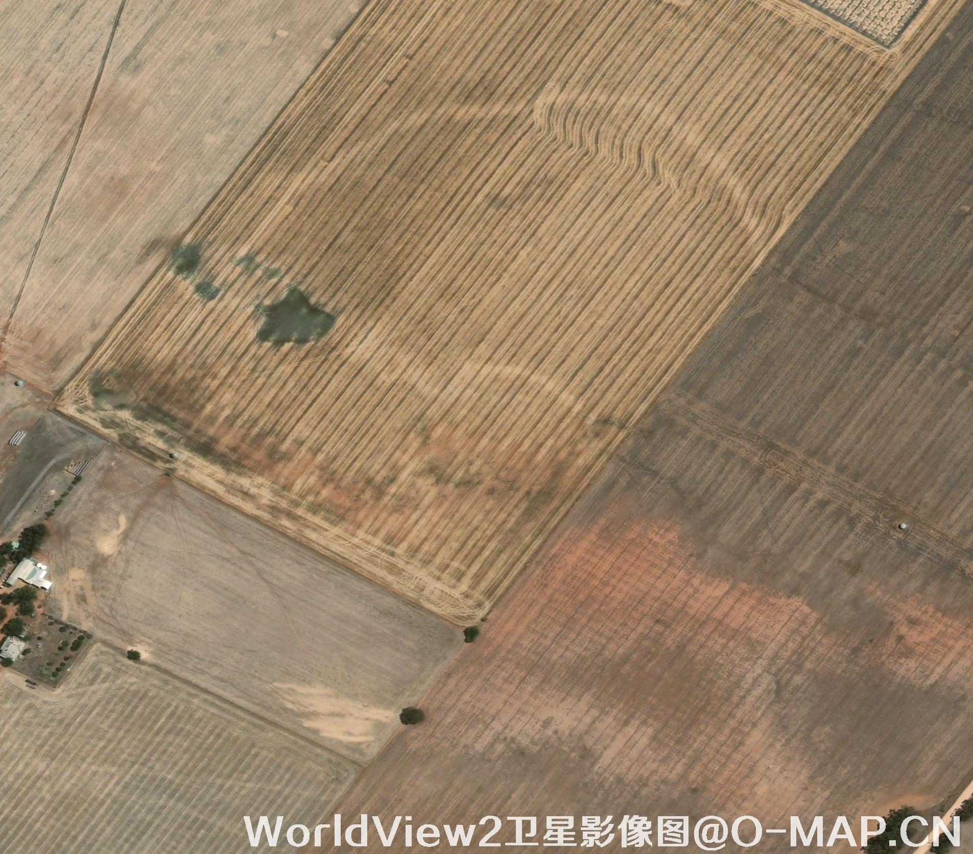 0.5米分辨率WorldView2卫星农田影像图