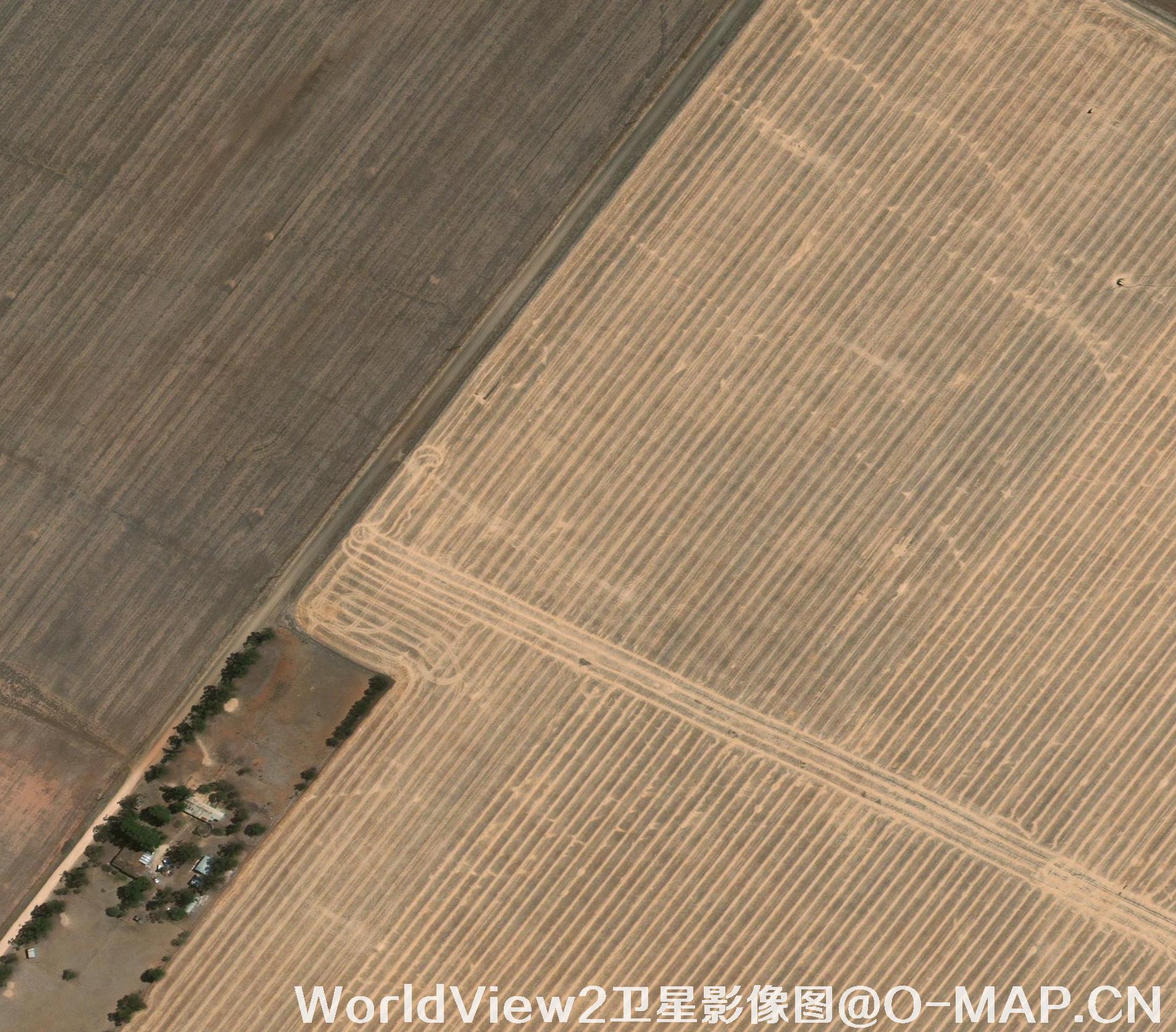 0.5米分辨率WorldView2卫星农田影像图