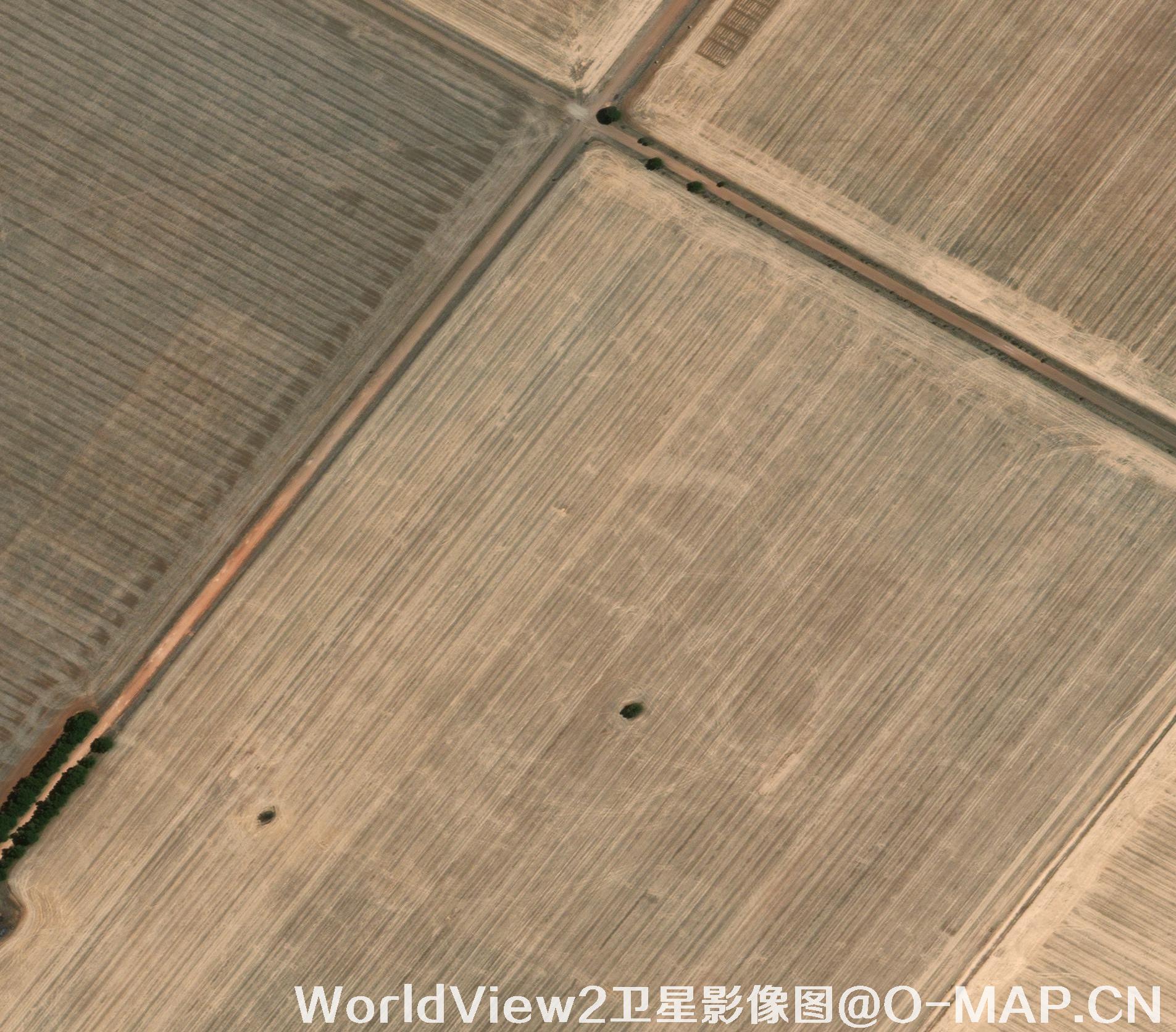 0.5米分辨率WorldView2卫星农田影像图