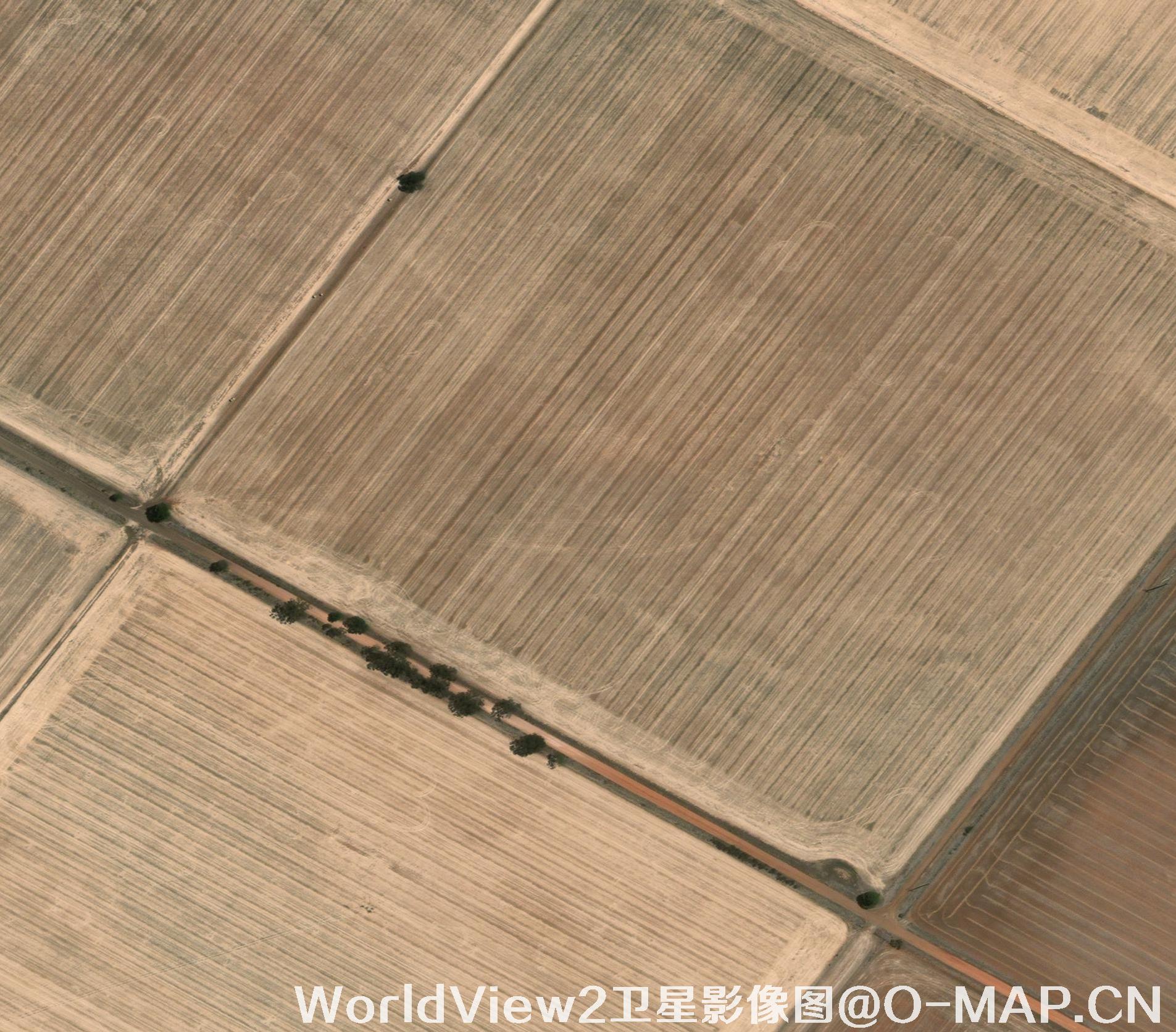 0.5米分辨率WorldView2卫星农田影像图