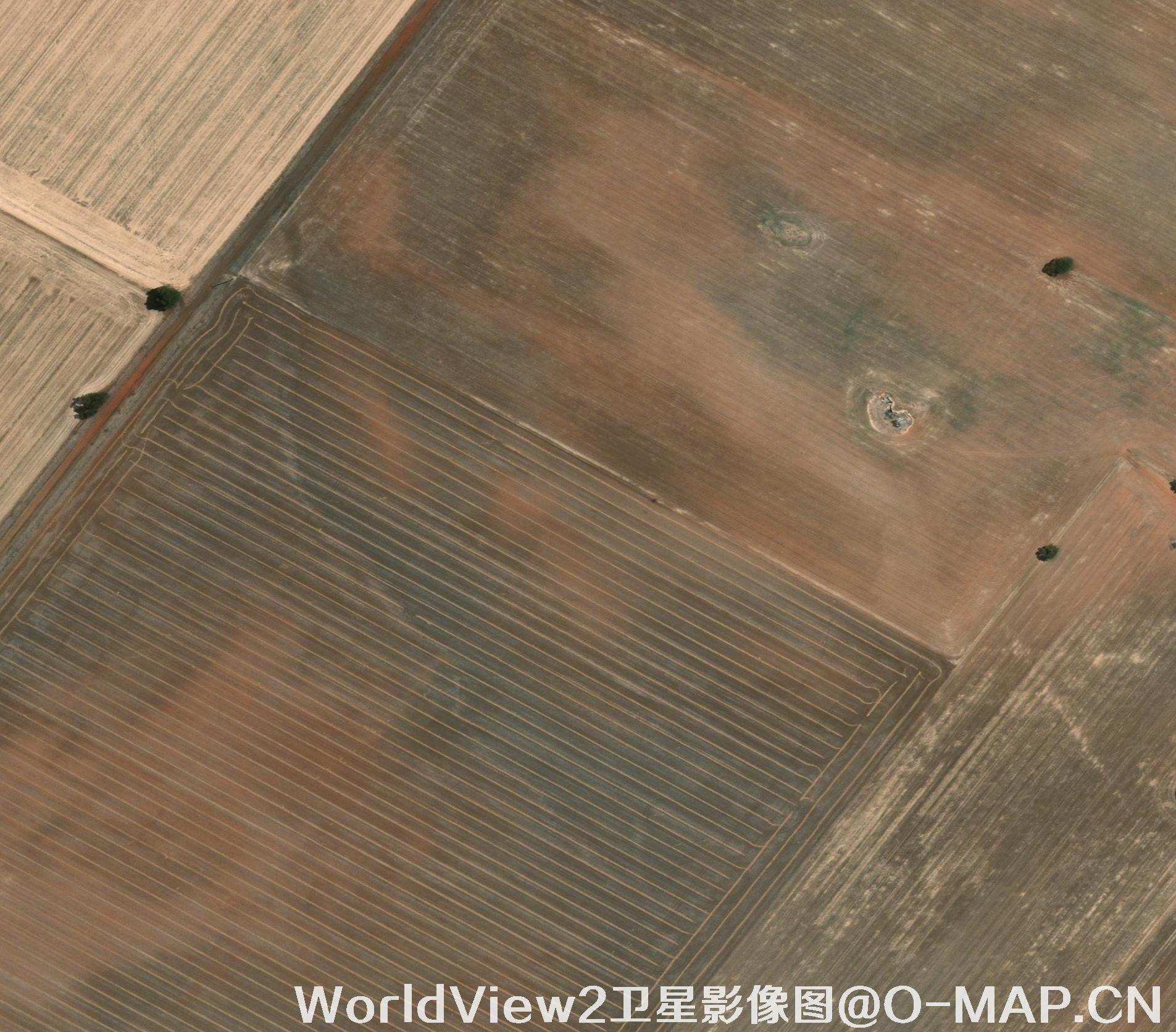 0.5米分辨率WorldView2卫星农田影像图