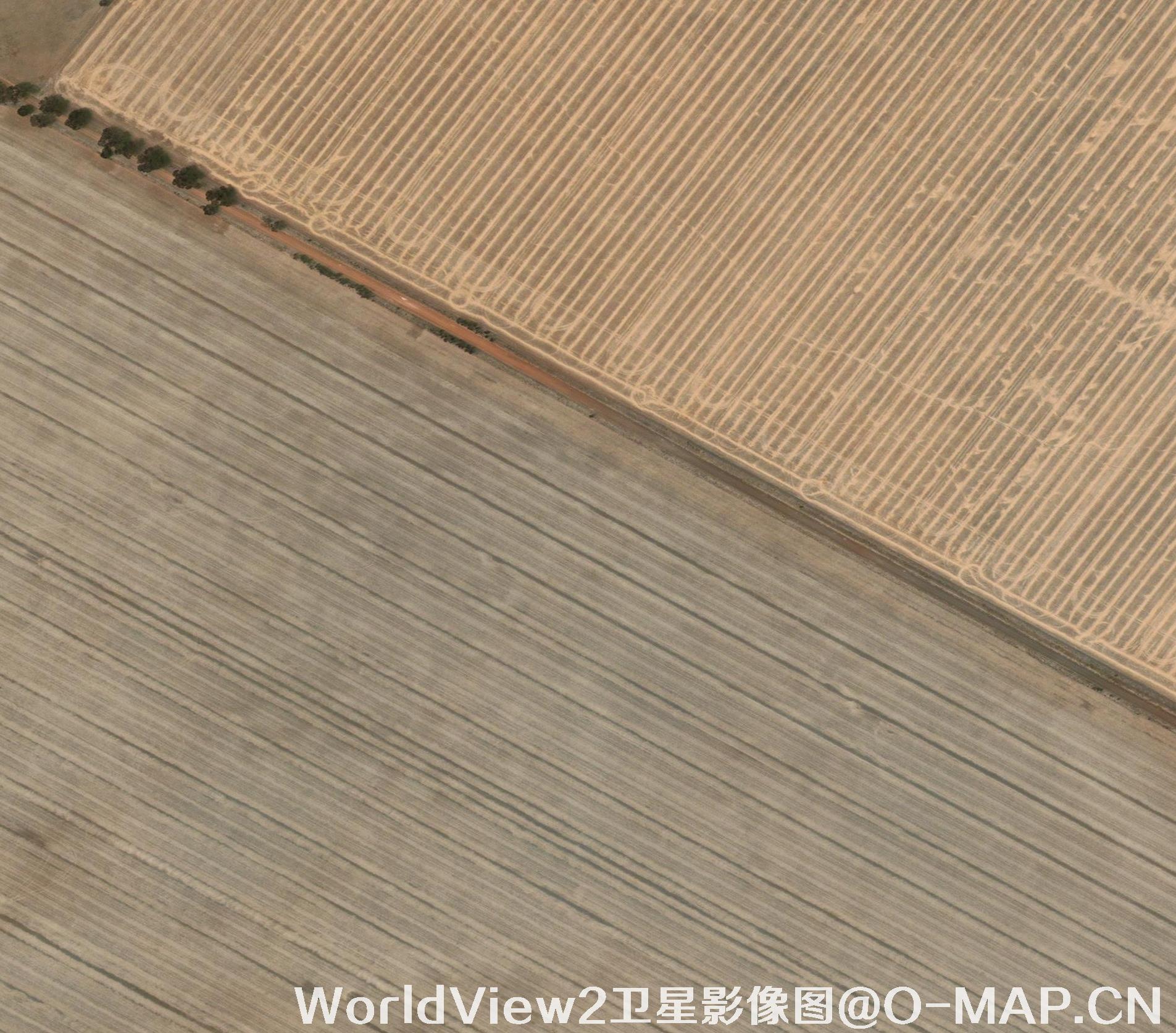 0.5米分辨率WorldView2卫星农田影像图