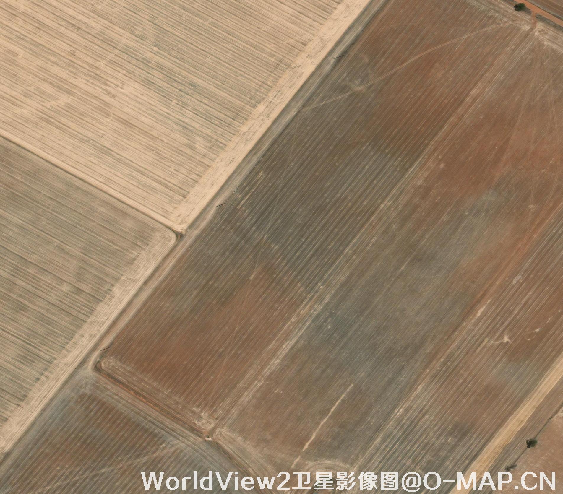 0.5米分辨率WorldView2卫星农田影像图
