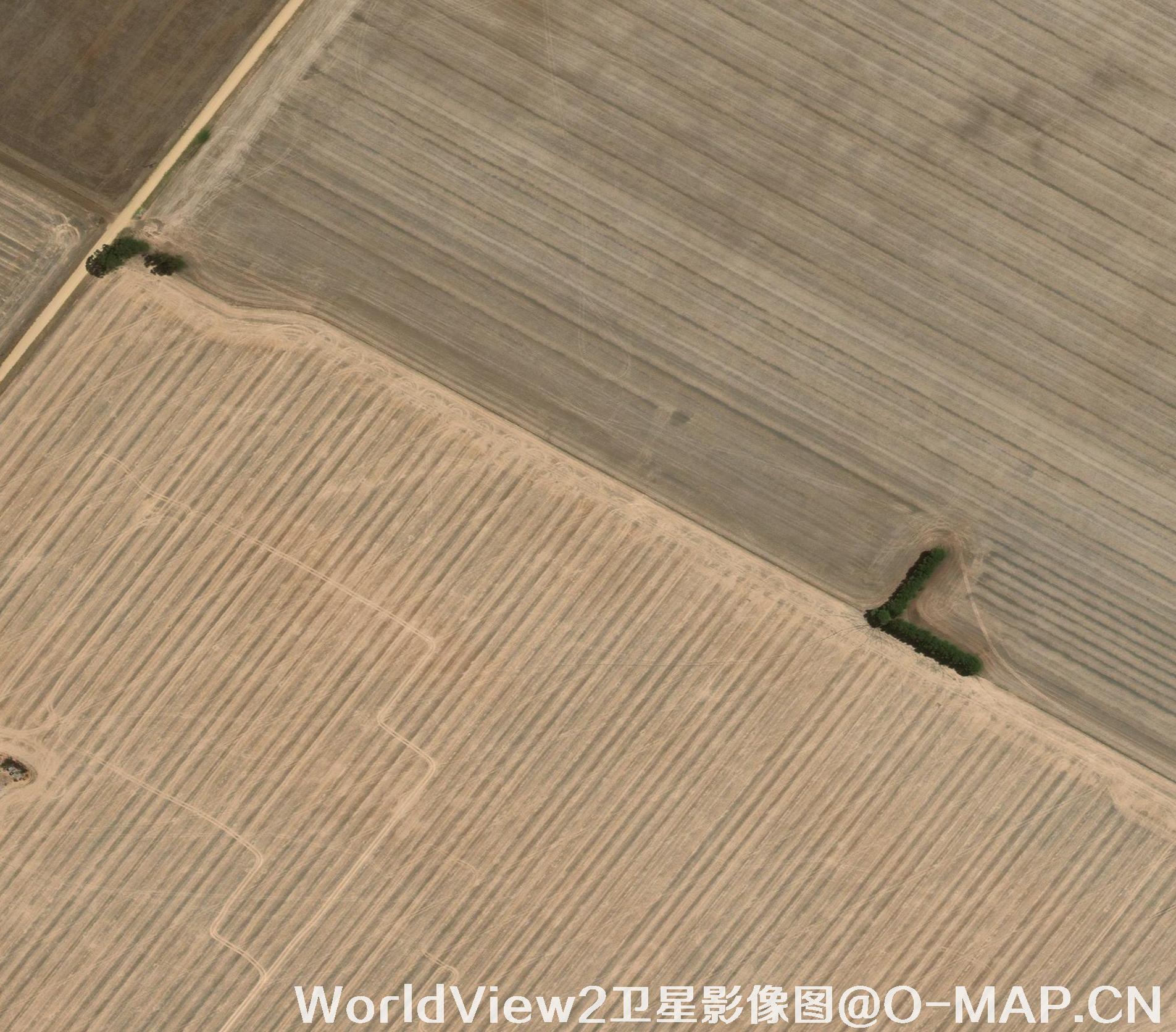 0.5米分辨率WorldView2卫星农田影像图
