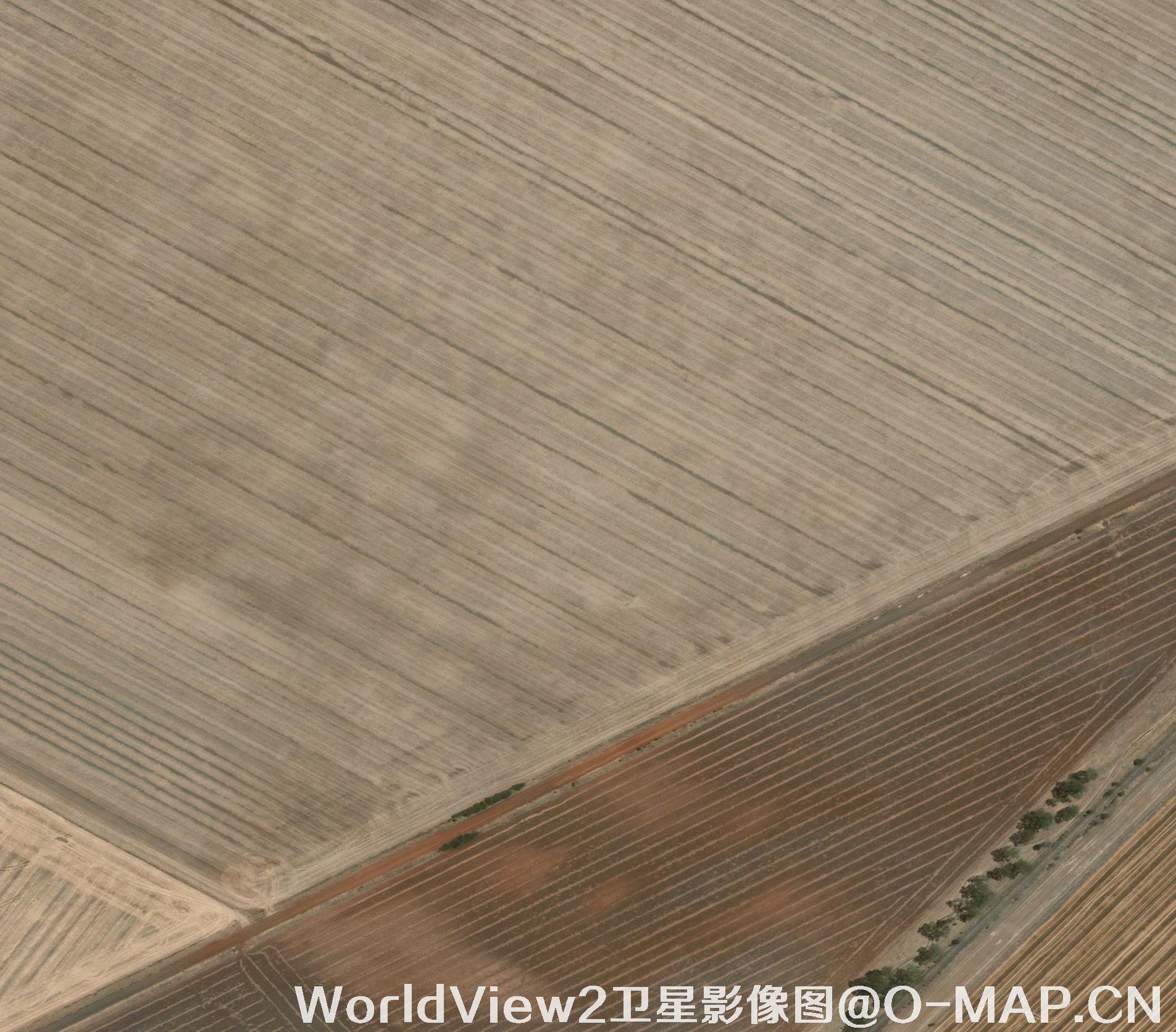 0.5米分辨率WorldView2卫星农田影像图