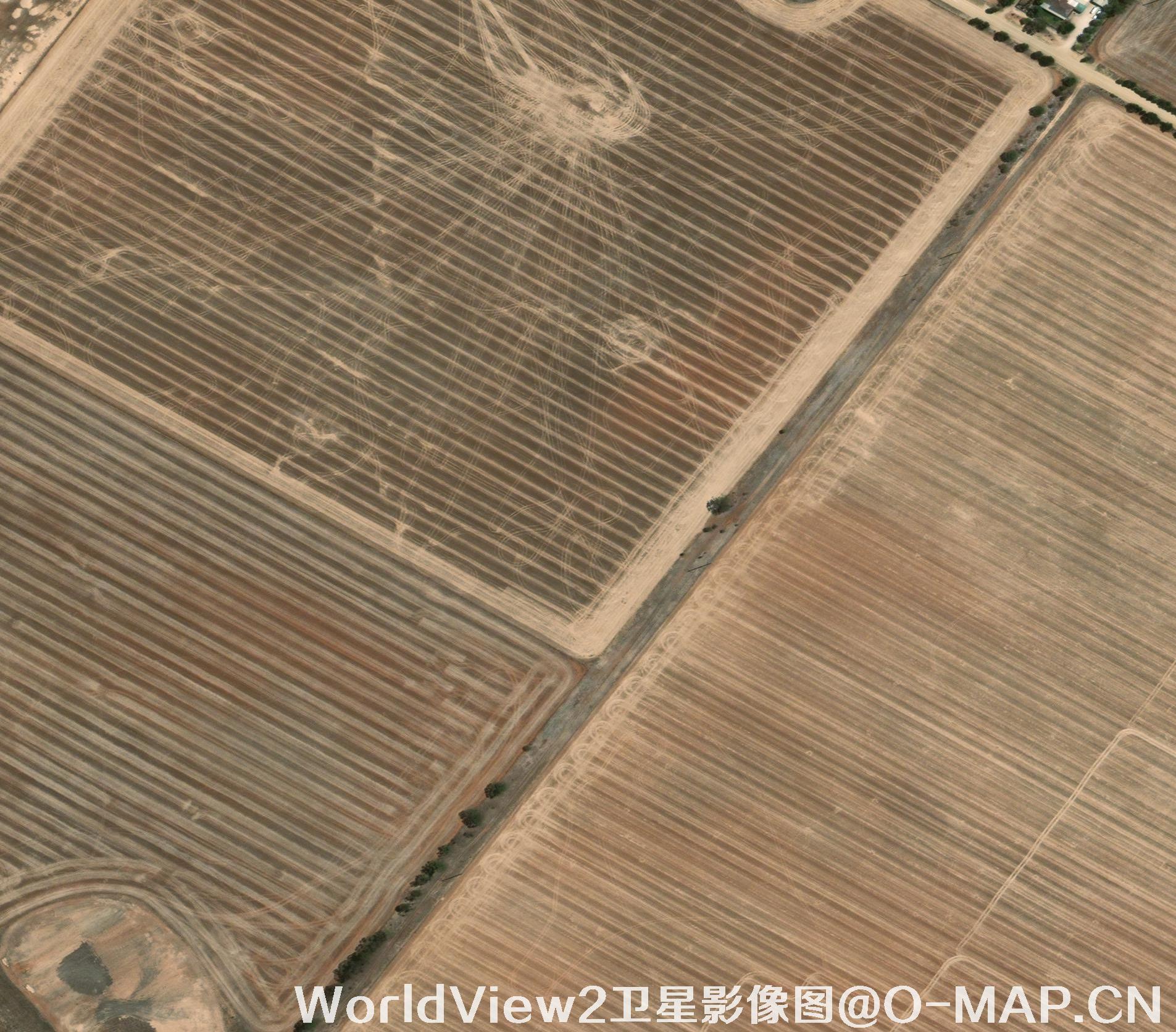 0.5米分辨率WorldView2卫星农田影像图