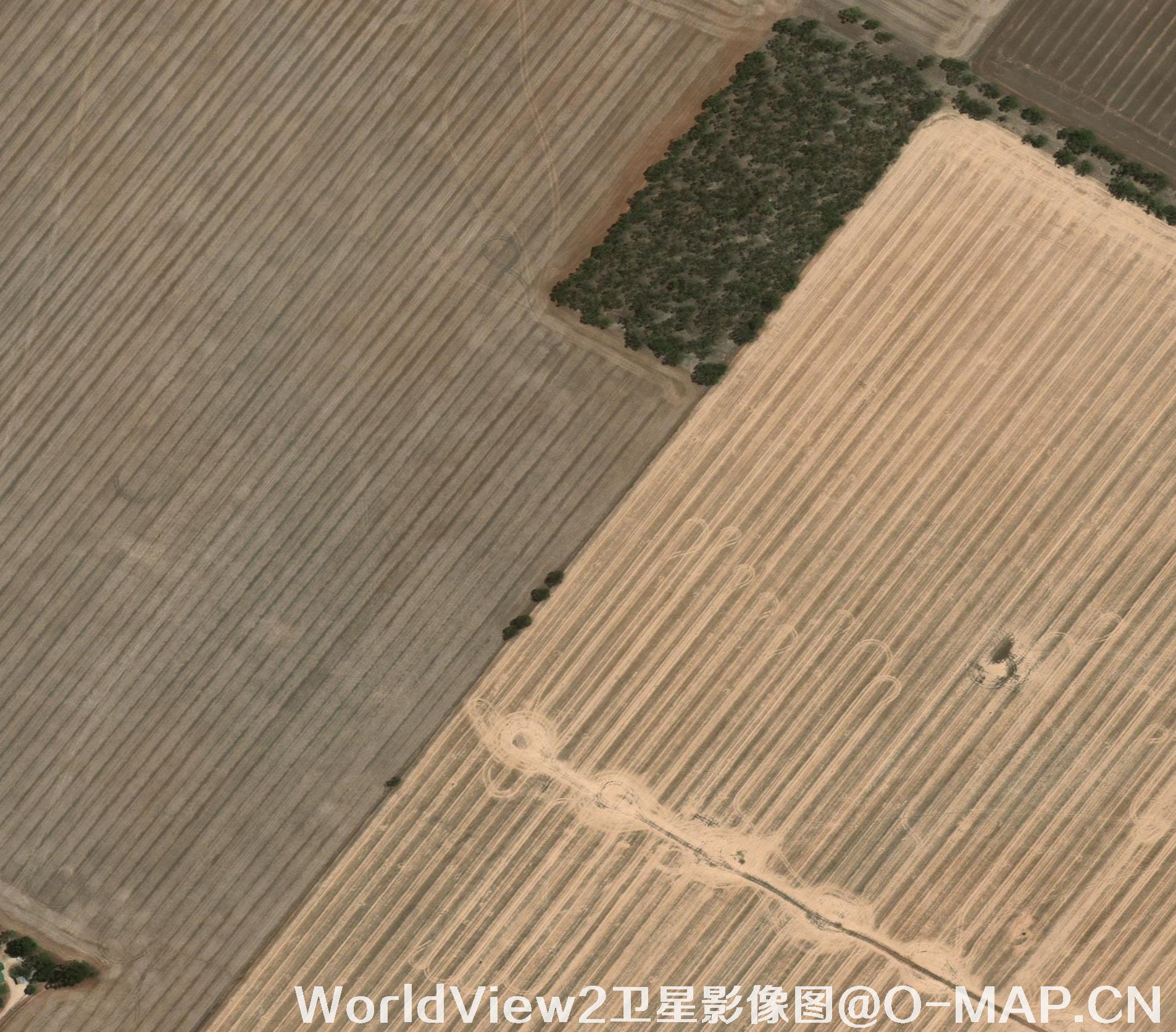 0.5米分辨率WorldView2卫星农田影像图