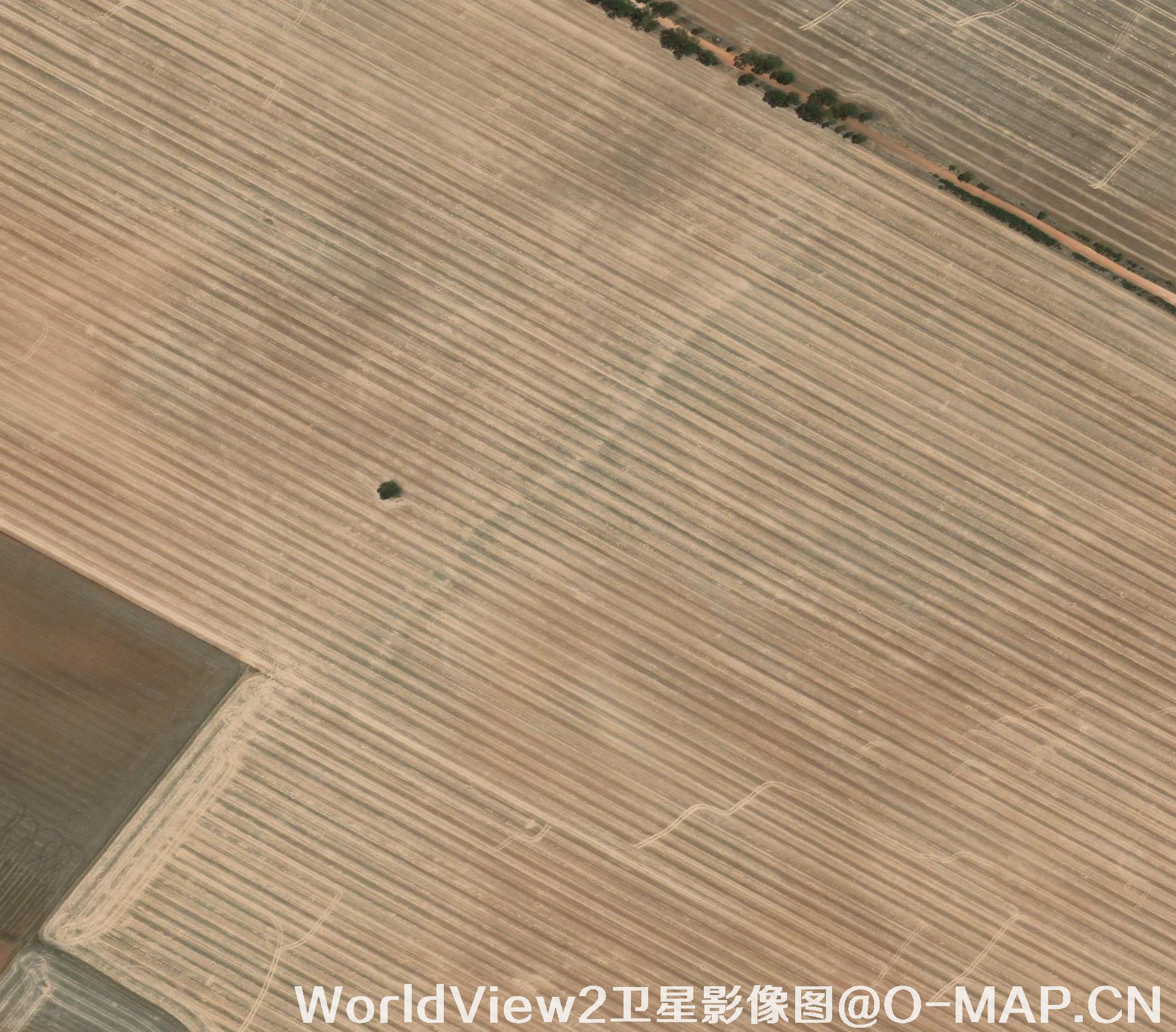 0.5米分辨率WorldView2卫星农田影像图