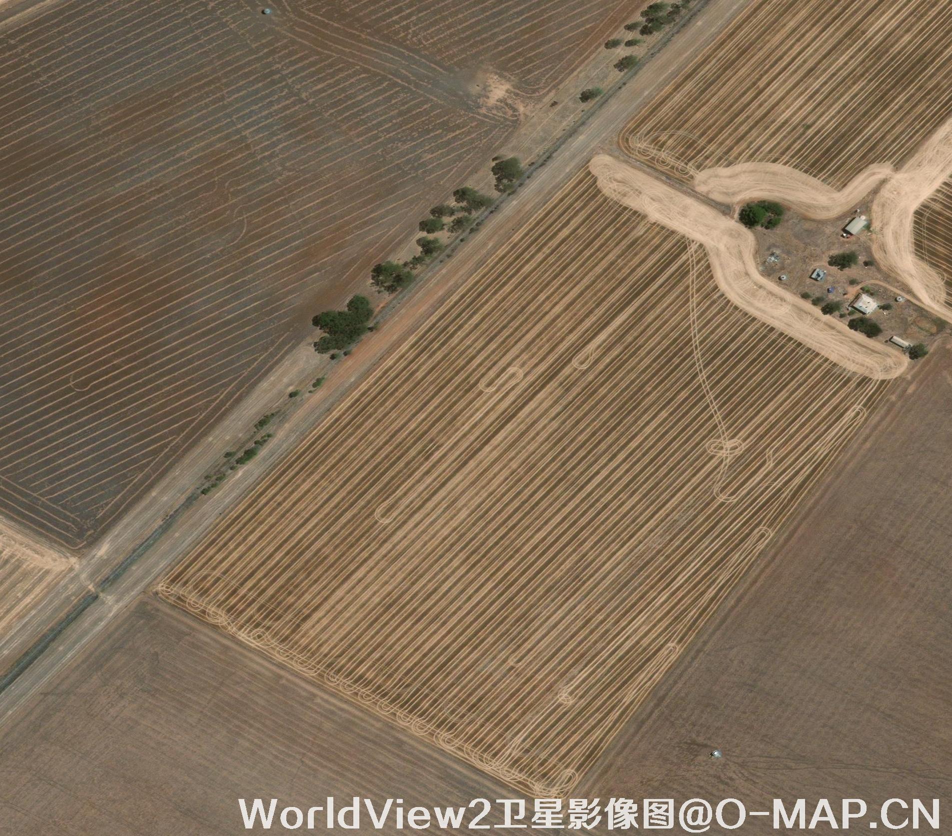 0.5米分辨率WorldView2卫星农田影像图