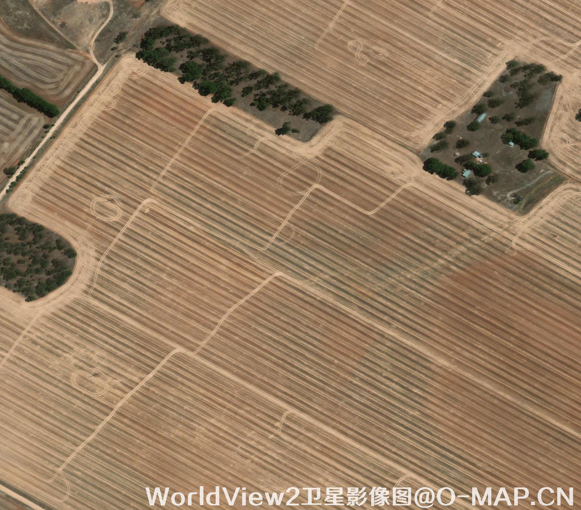 0.5米分辨率WorldView2卫星农田影像图
