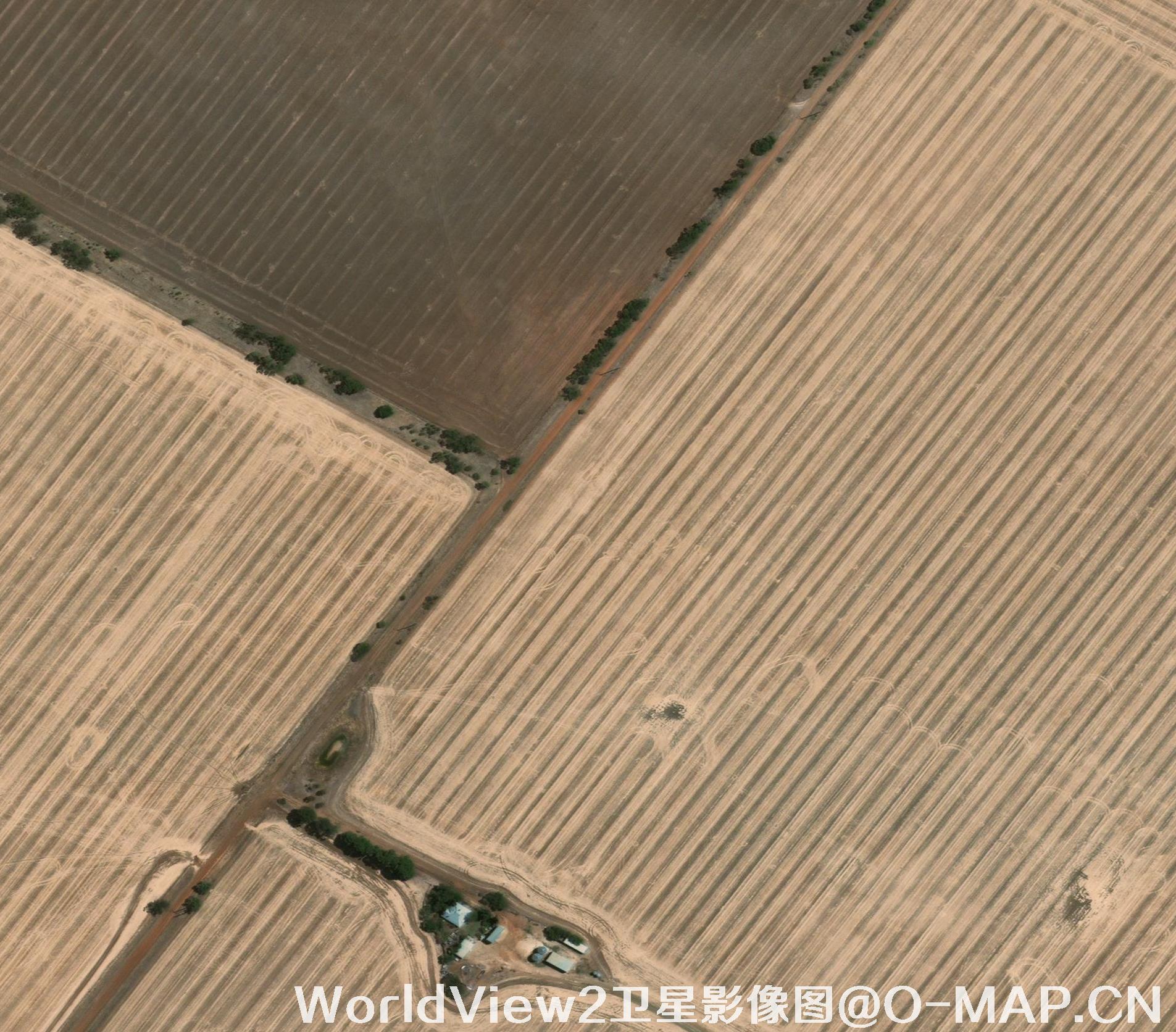0.5米分辨率WorldView2卫星农田影像图