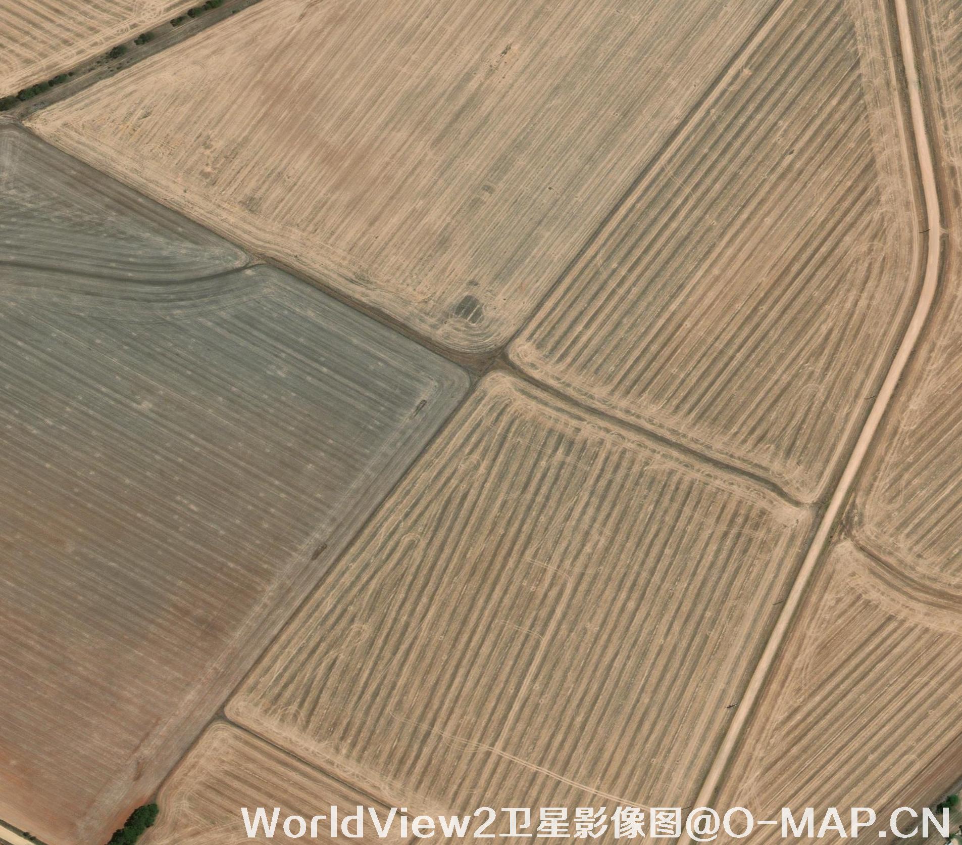 0.5米分辨率WorldView2卫星农田影像图
