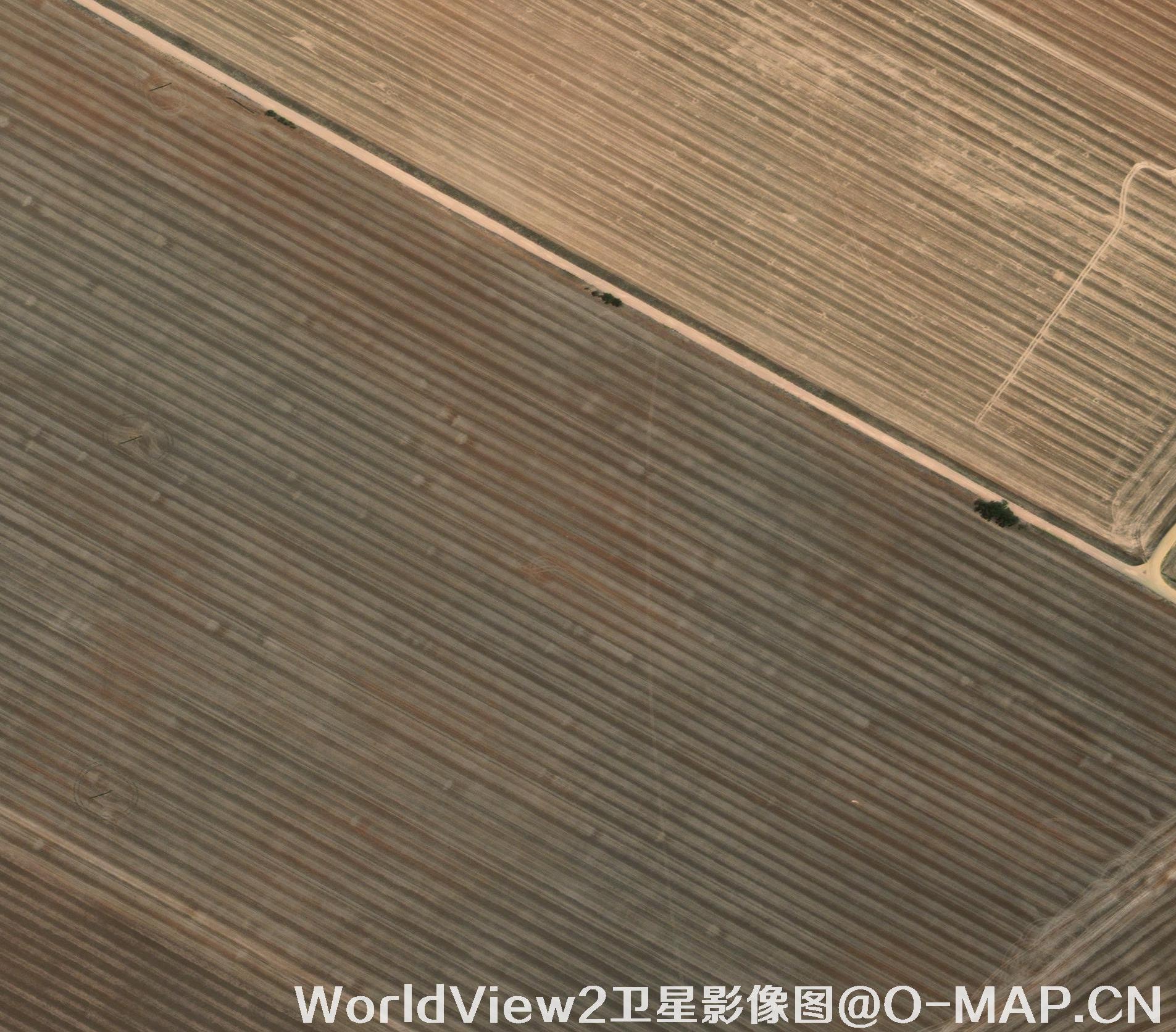 0.5米分辨率WorldView2卫星农田影像图