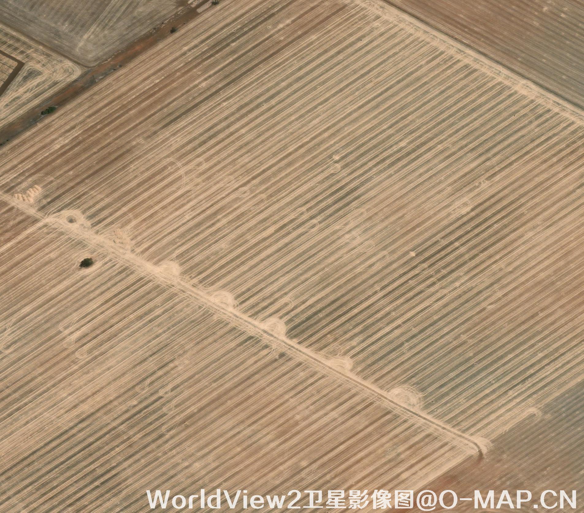 0.5米分辨率WorldView2卫星农田影像图