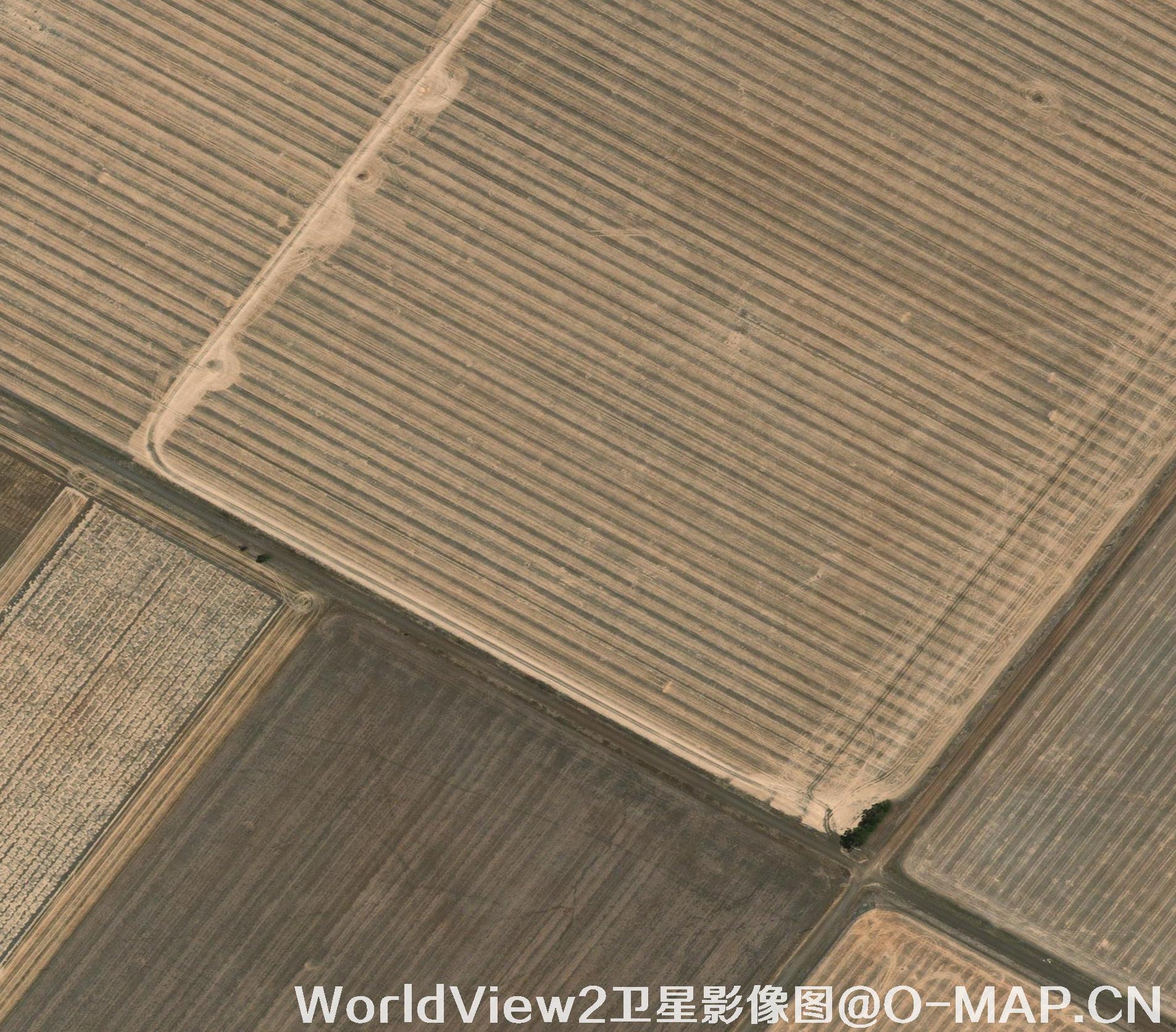 0.5米分辨率WorldView2卫星农田影像图