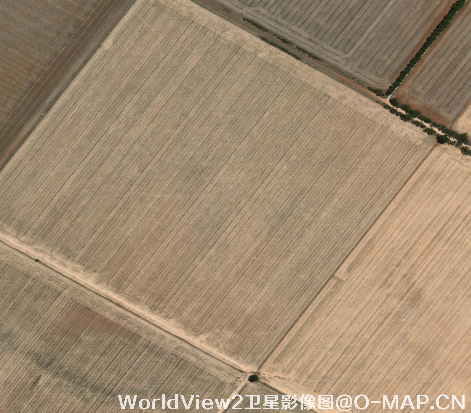 0.5米分辨率WorldView2卫星农田影像图