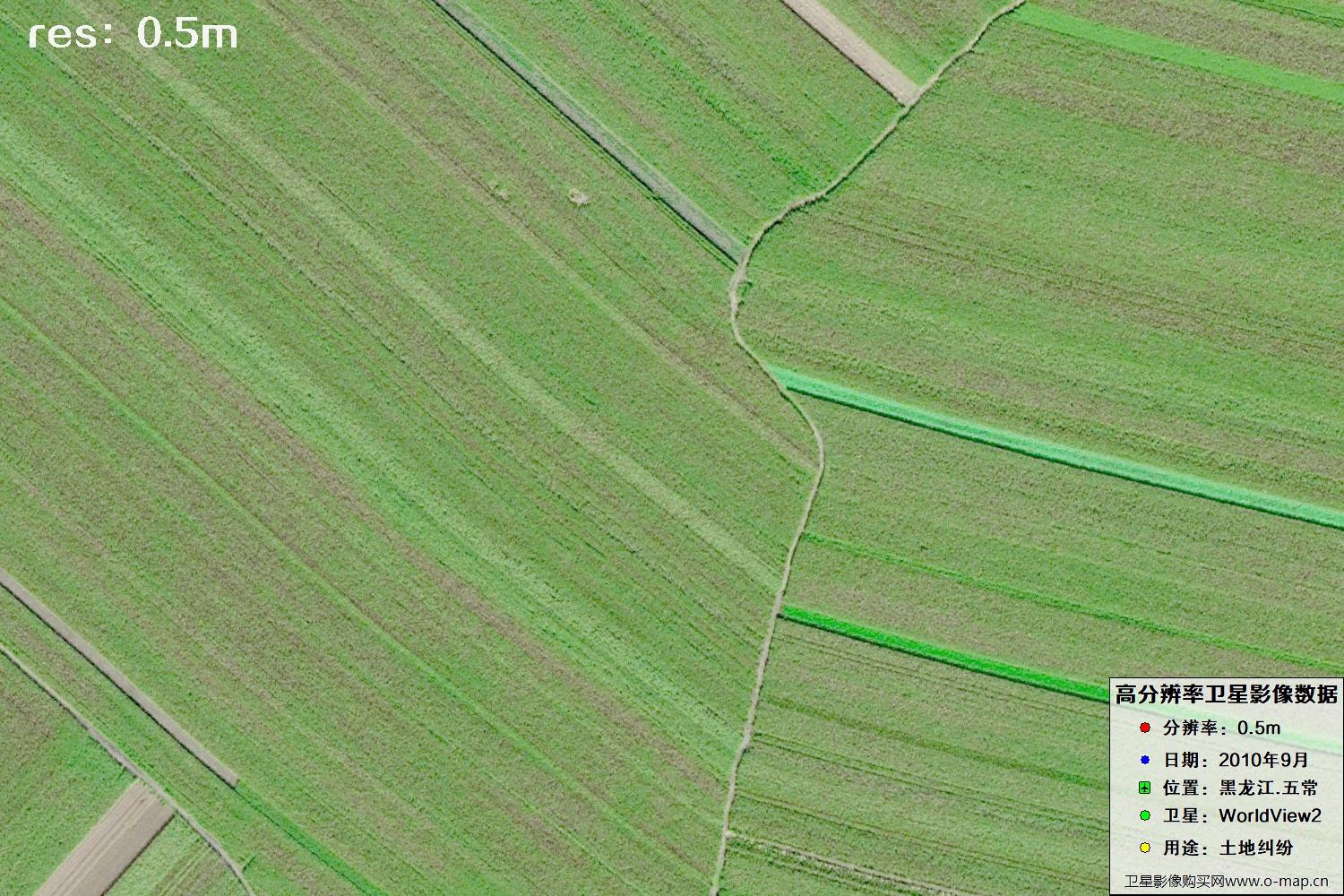 黑龙江五常市2010年WV2卫星0.5米分辨率影像地图