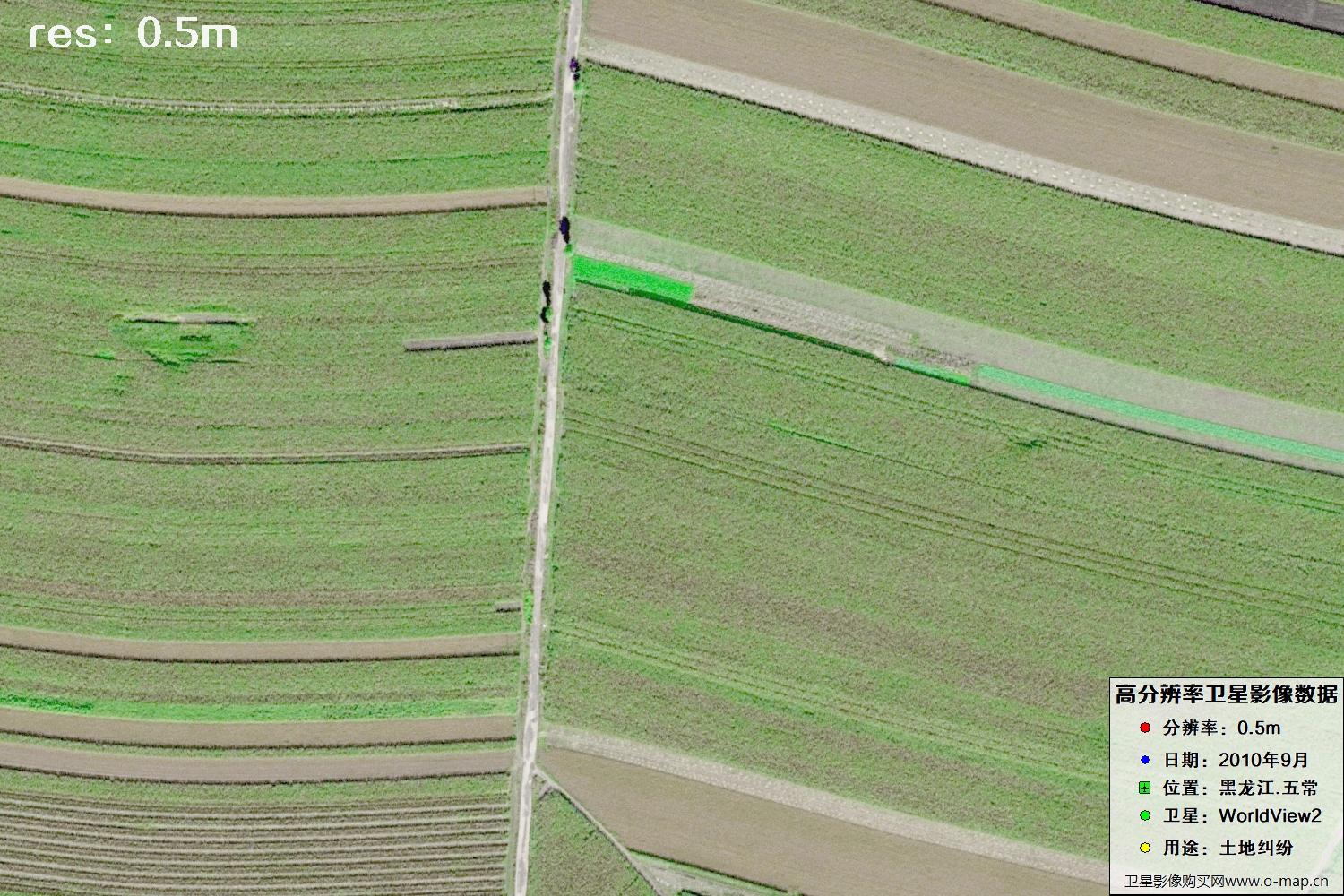 黑龙江五常市2010年WV2卫星0.5米分辨率影像地图